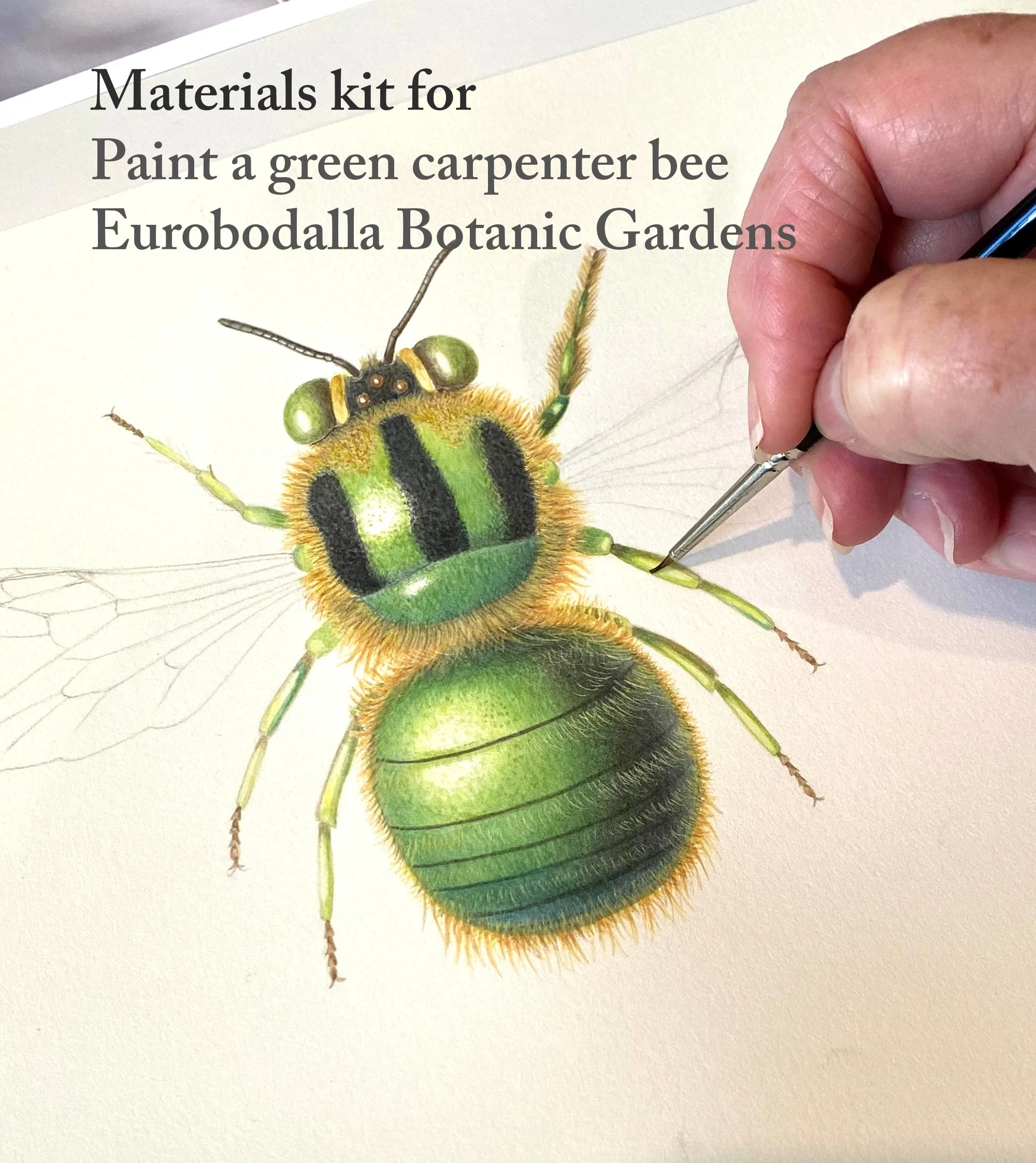 materials kit cover page erbg carpenter bee wshop.jpg