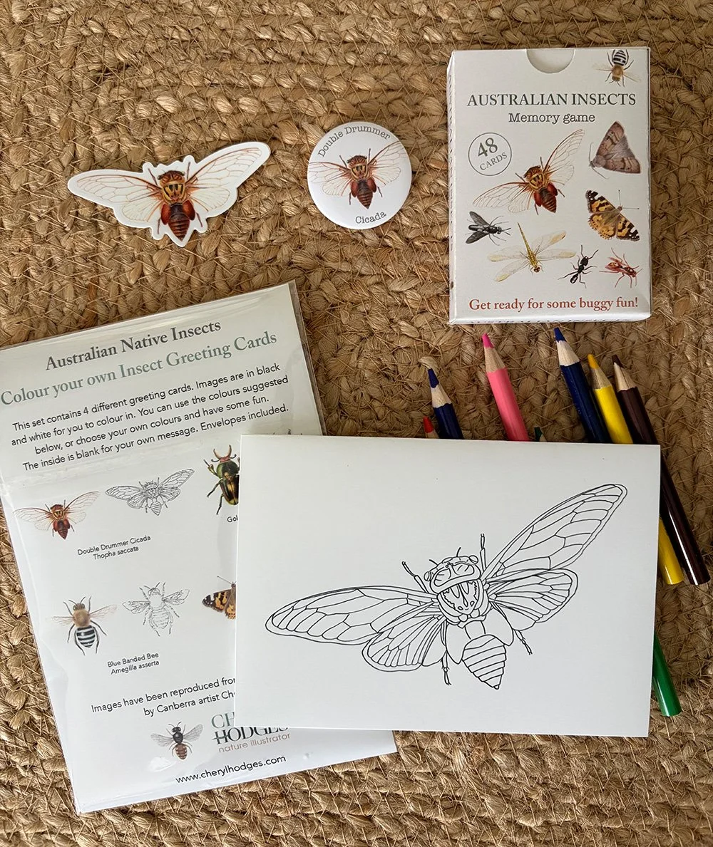 insect game bundle cicada 1.jpg