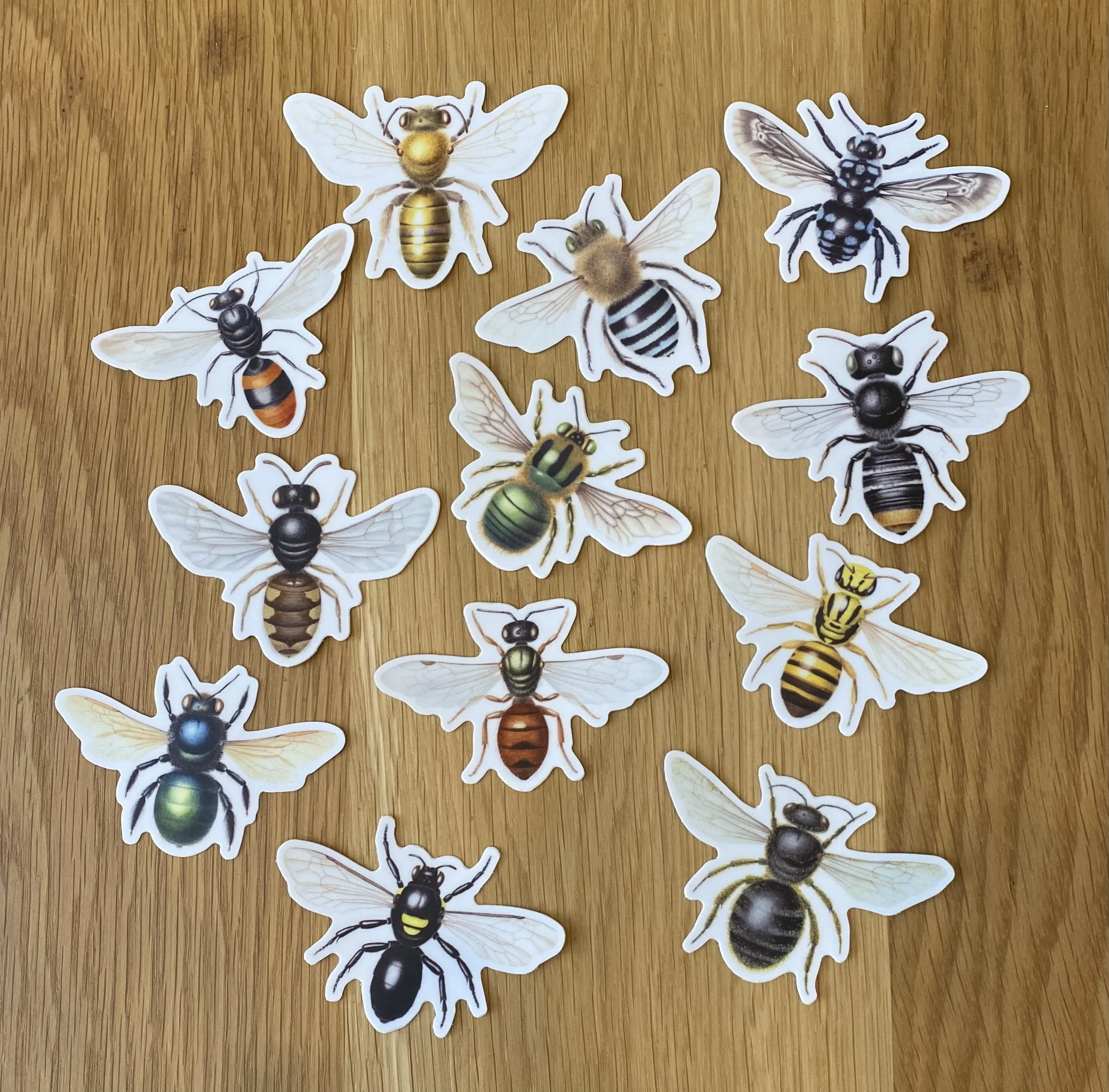 12 bee sticker photo.jpeg
