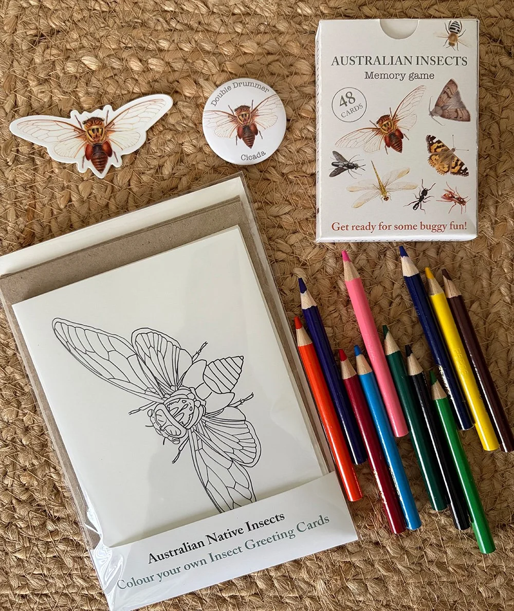 Australian Insects Memory Game "Cicada Bundle" - PRE-ORDER - closed 7 September 2026