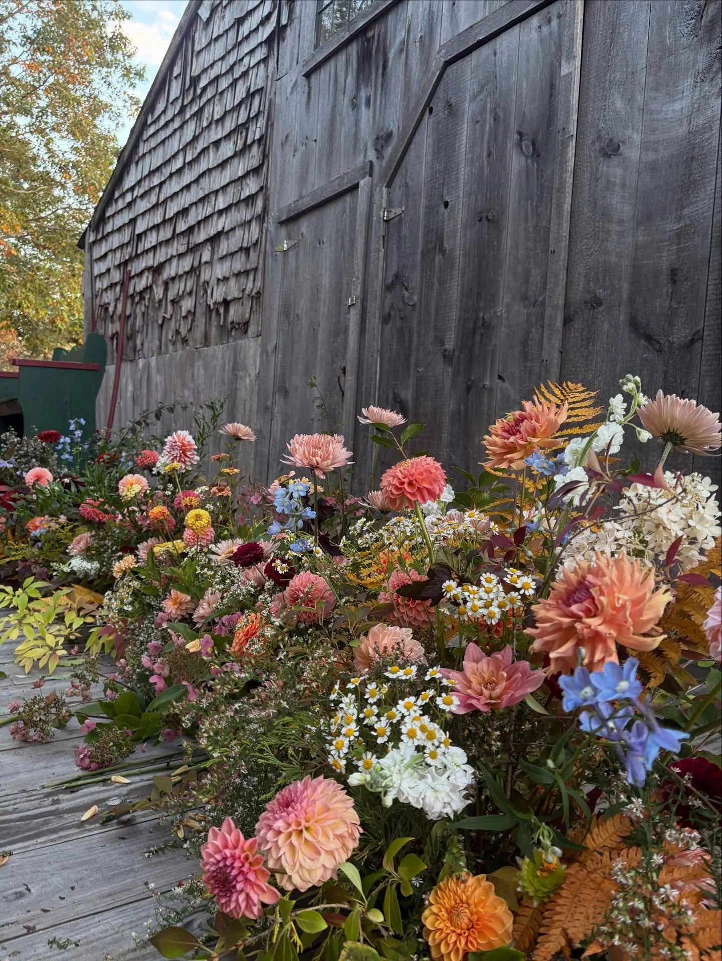 Good Buddy Farm and Flower - Maine6.jpg