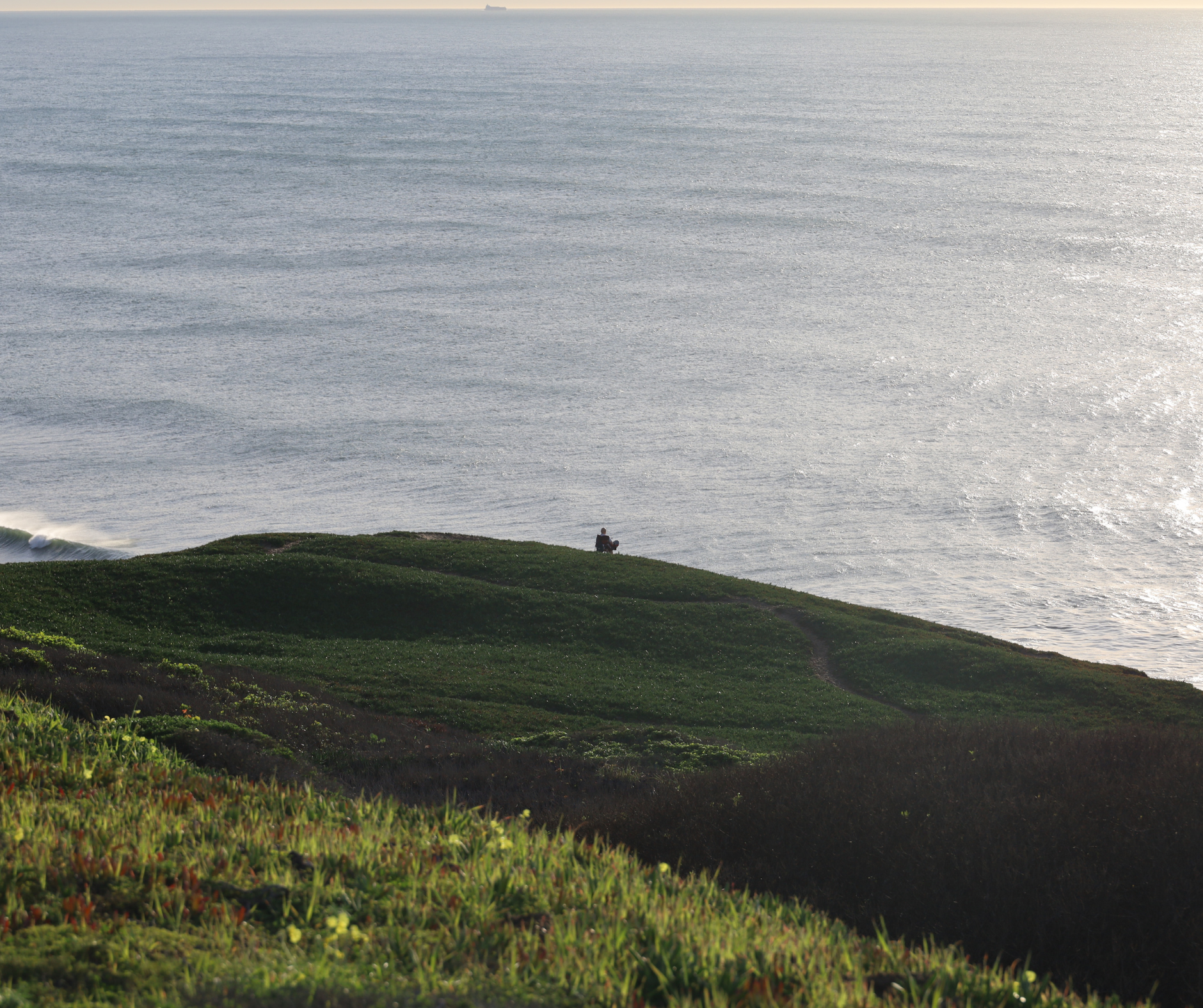Pacifica Is Underrated… But Not for Everyone