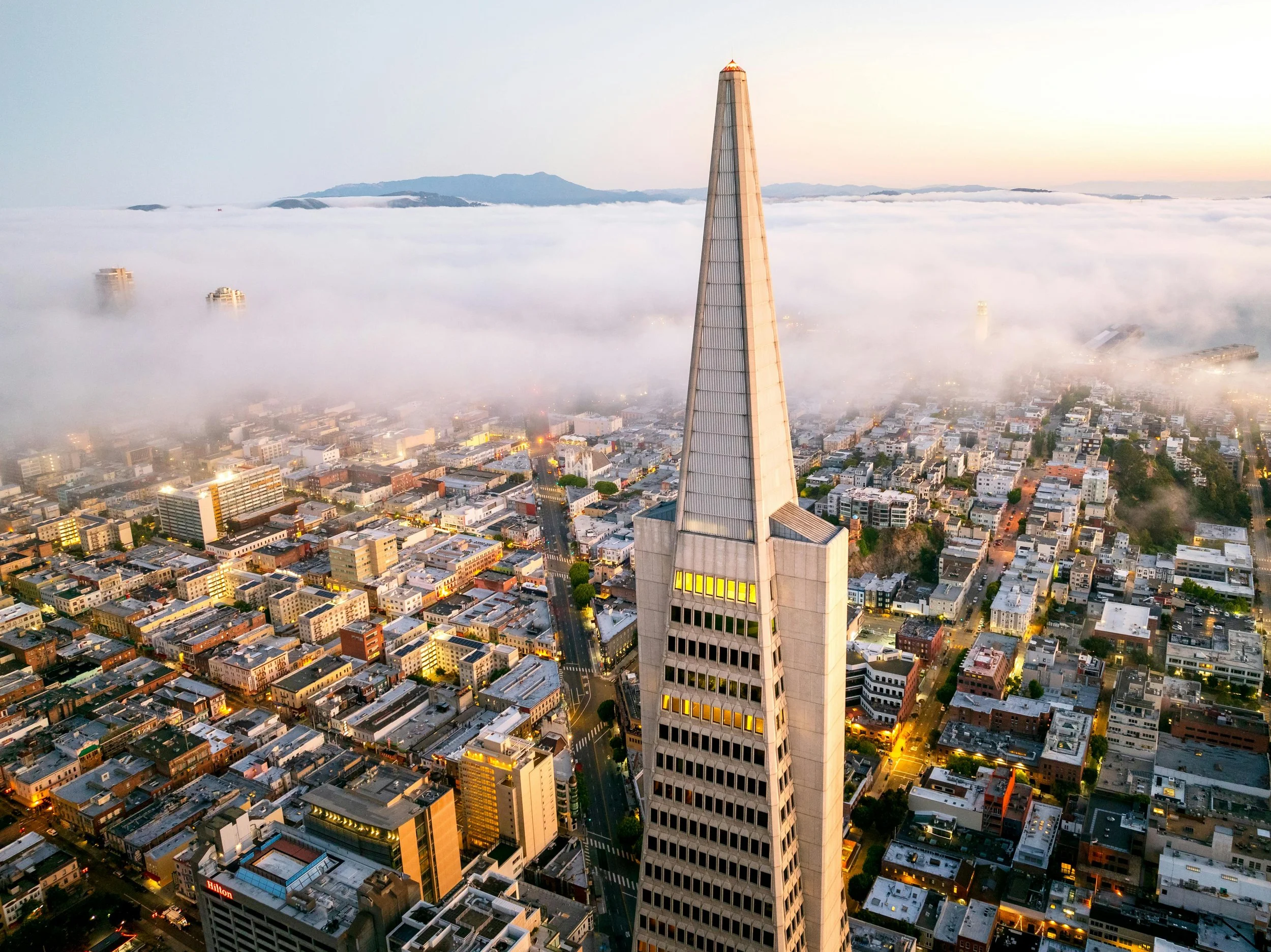 Record Highs &amp; Local Resilience