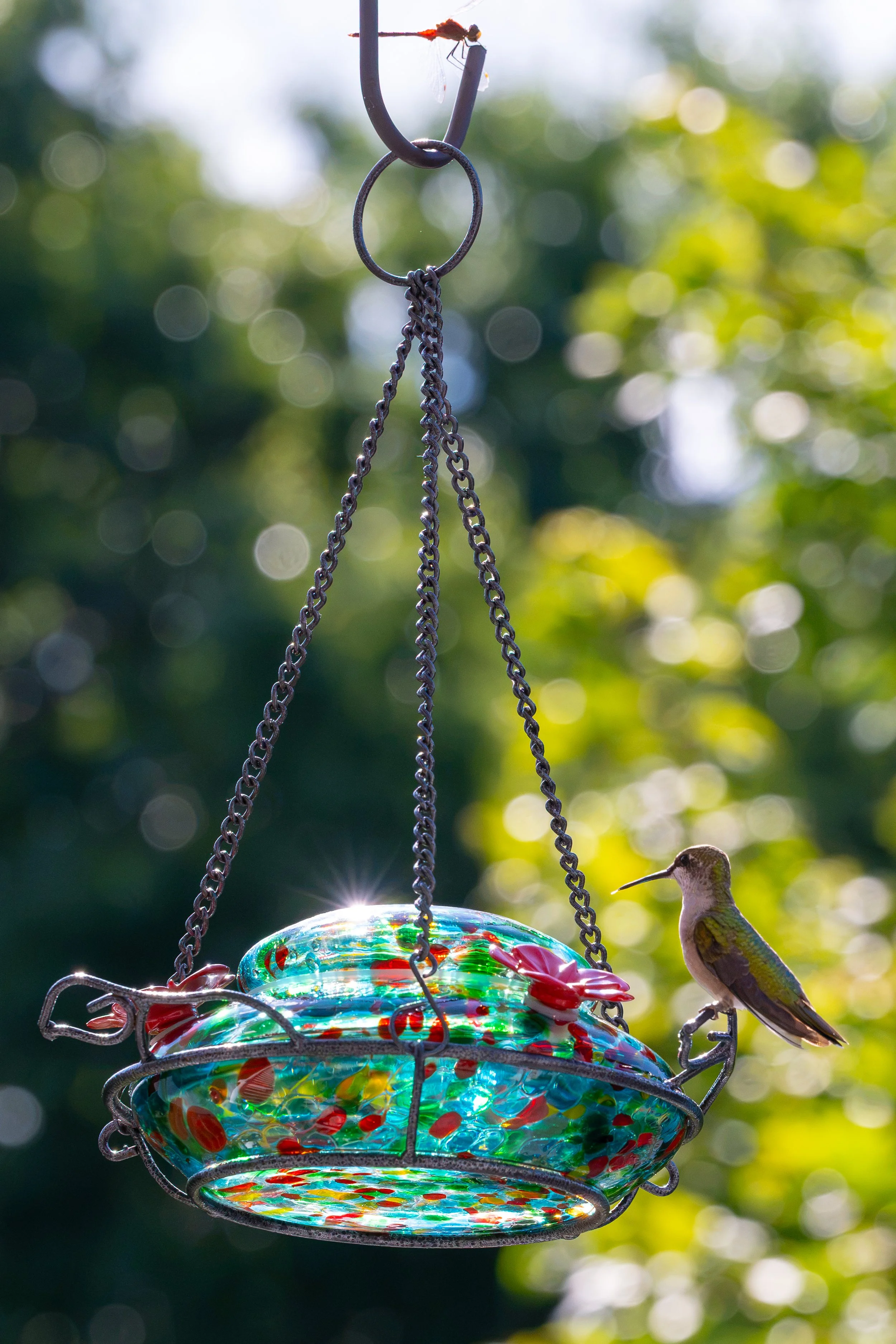 DSC_2232.jpg