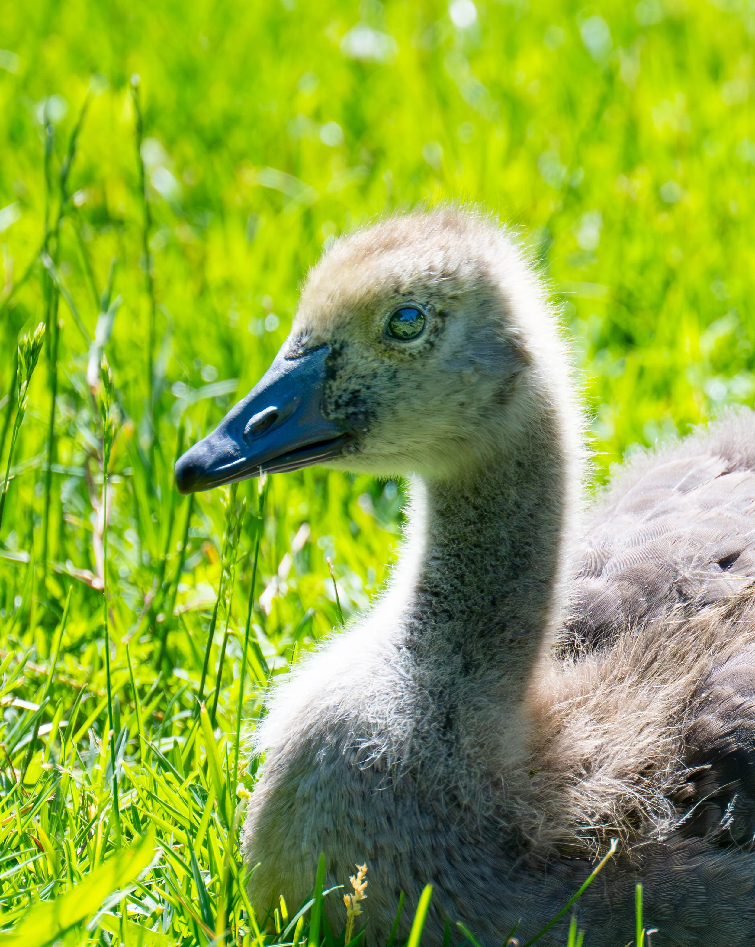 DSC_1948.jpg
