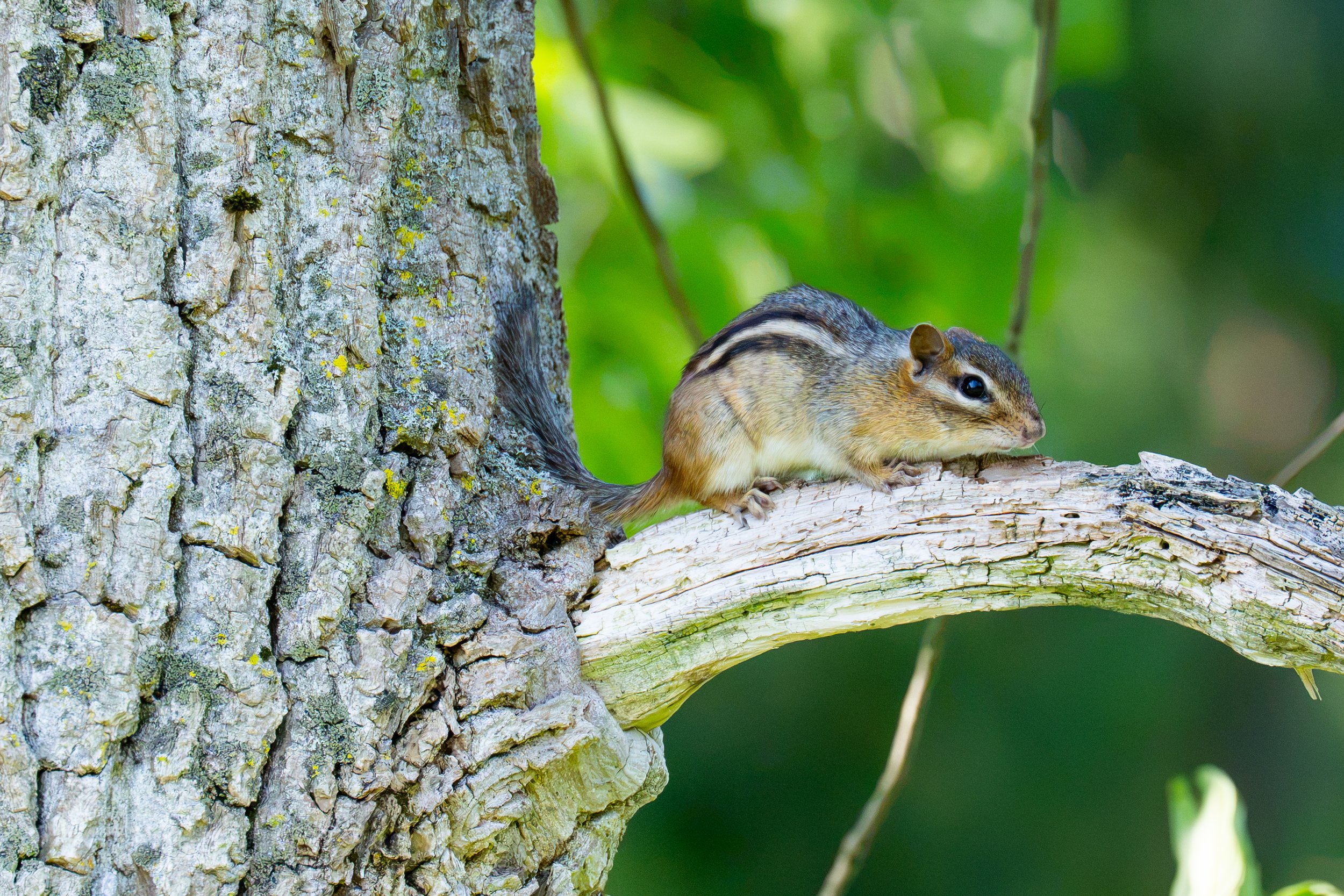 DSC_2628.jpg