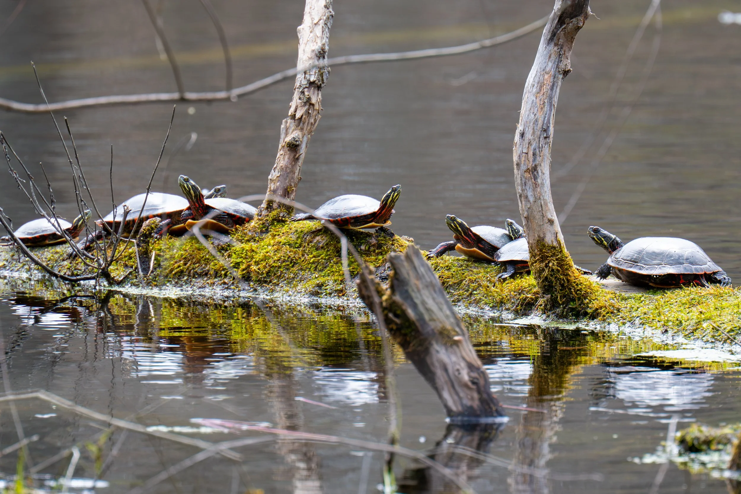 1000025287.jpg