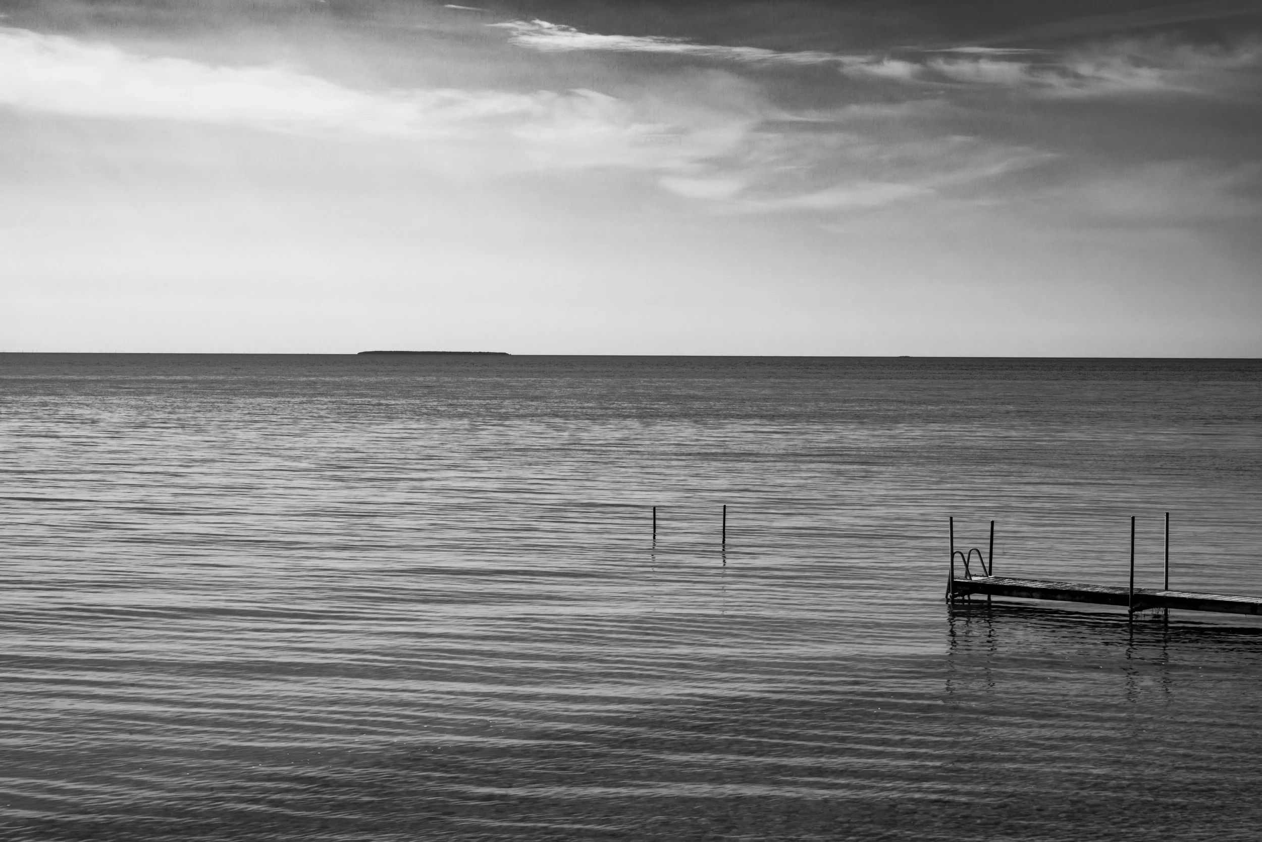 DSC_2331.jpg