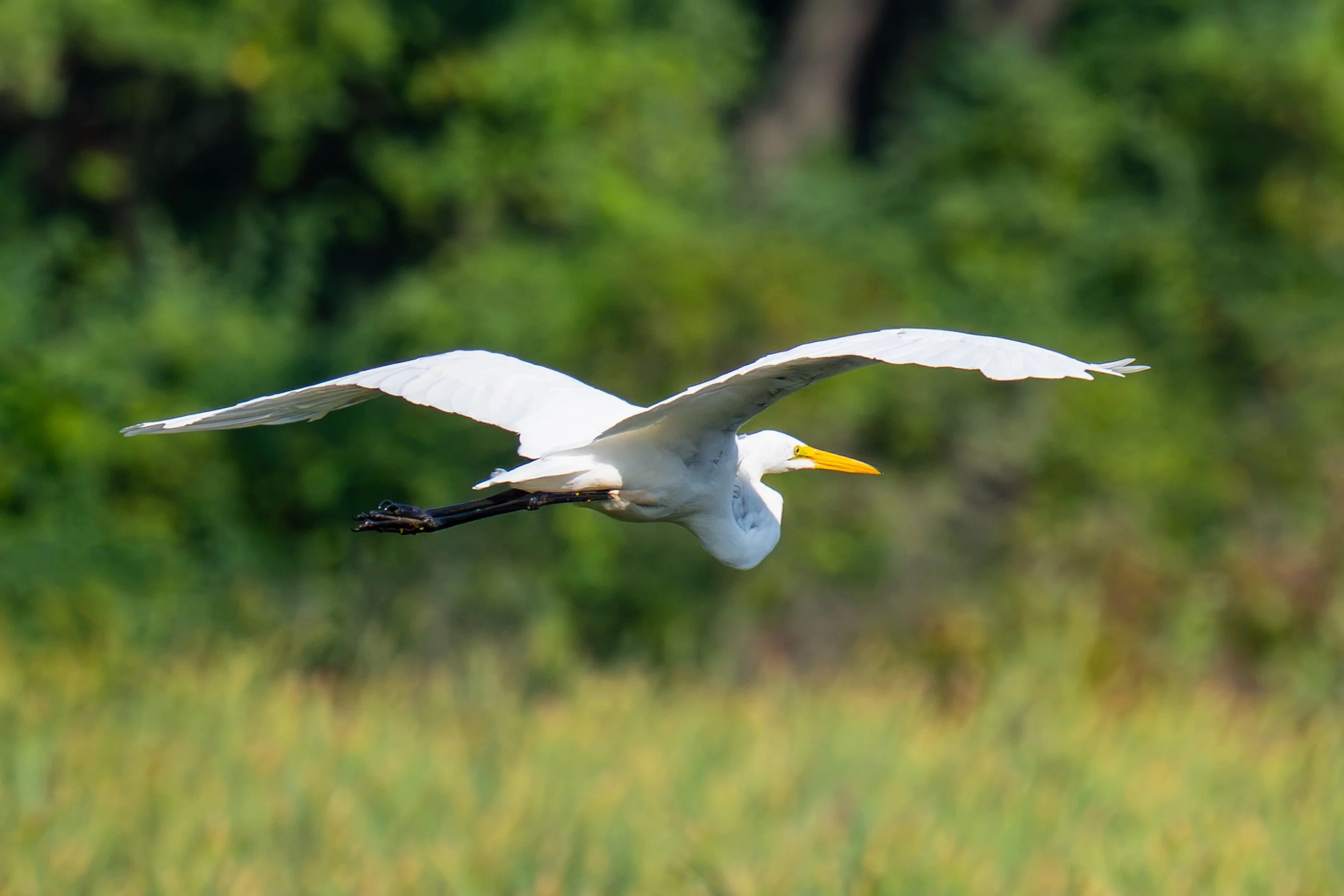 DSC_2583-2.jpg