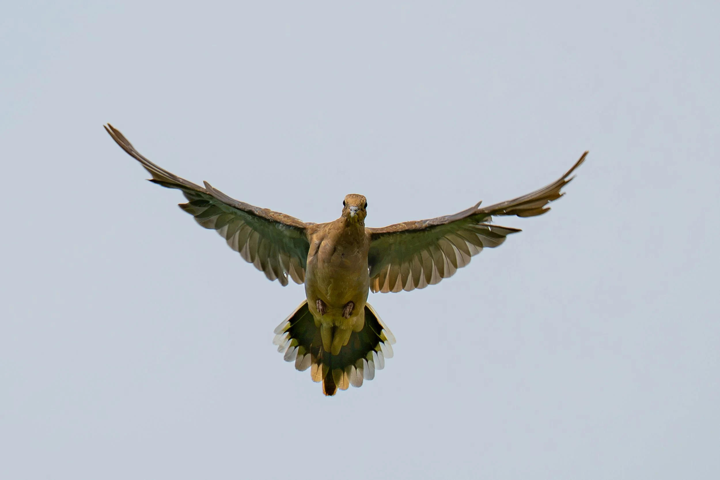DSC_2724.jpg