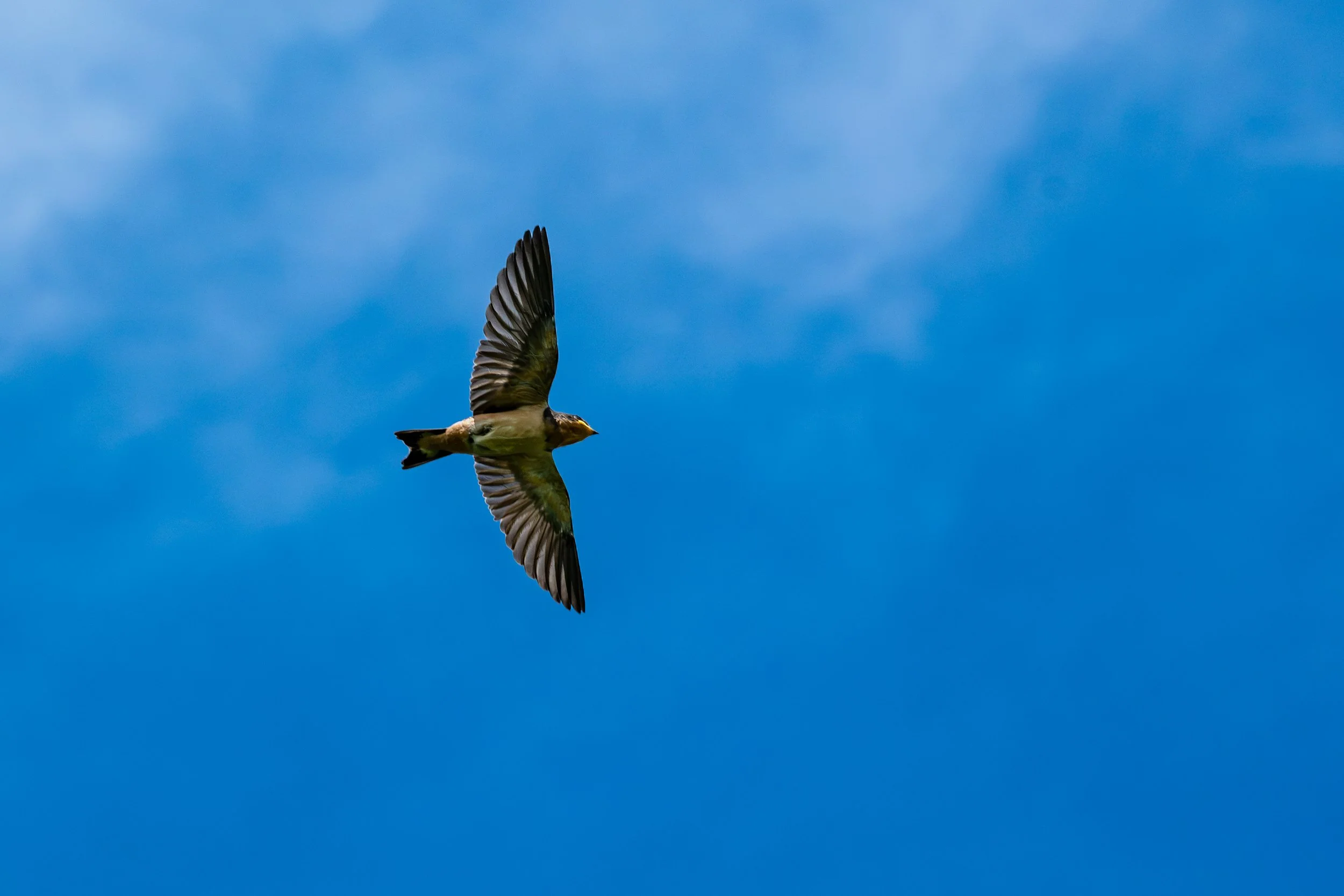 DSC_2143-2.jpg