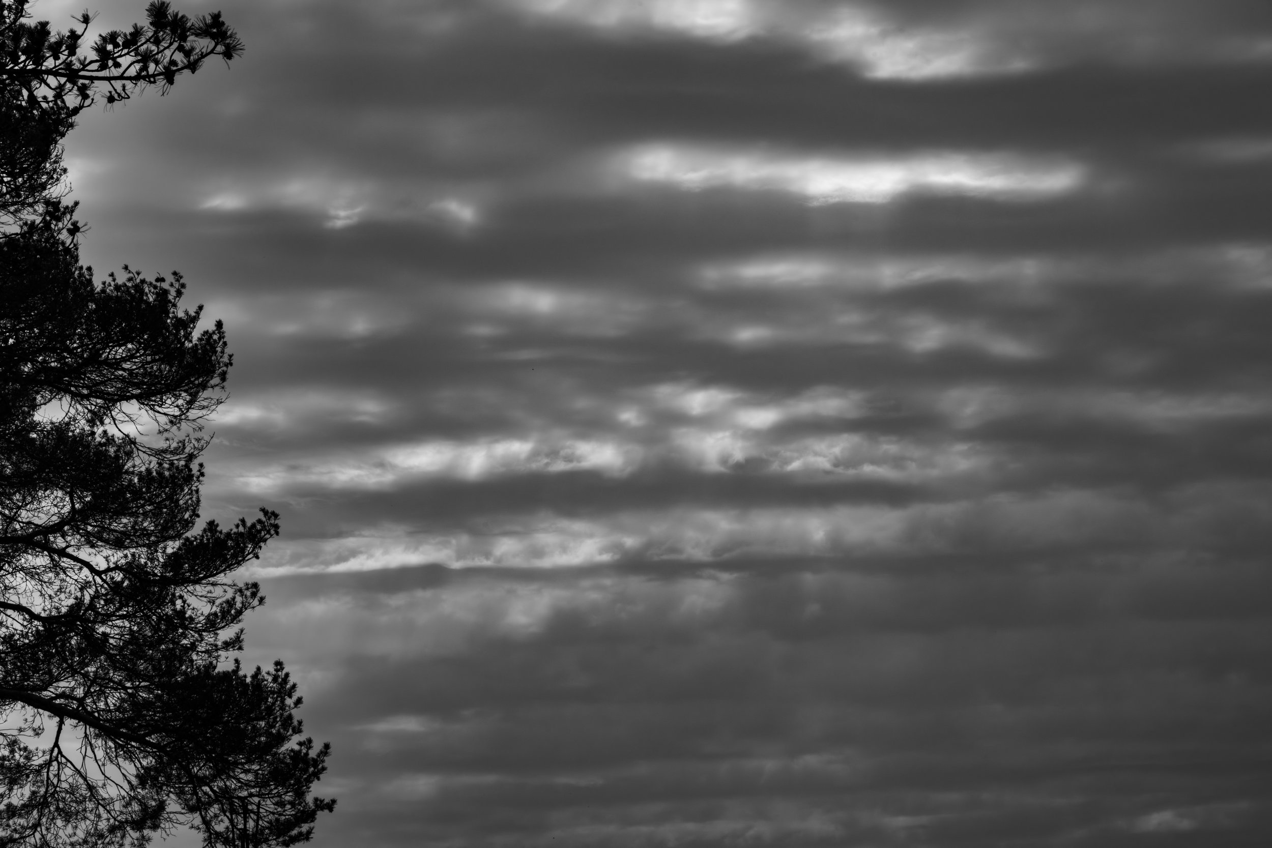 DSC_9897.jpg