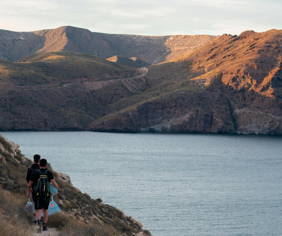 Do You Need a Backdoor to Contribute to Your IRA?