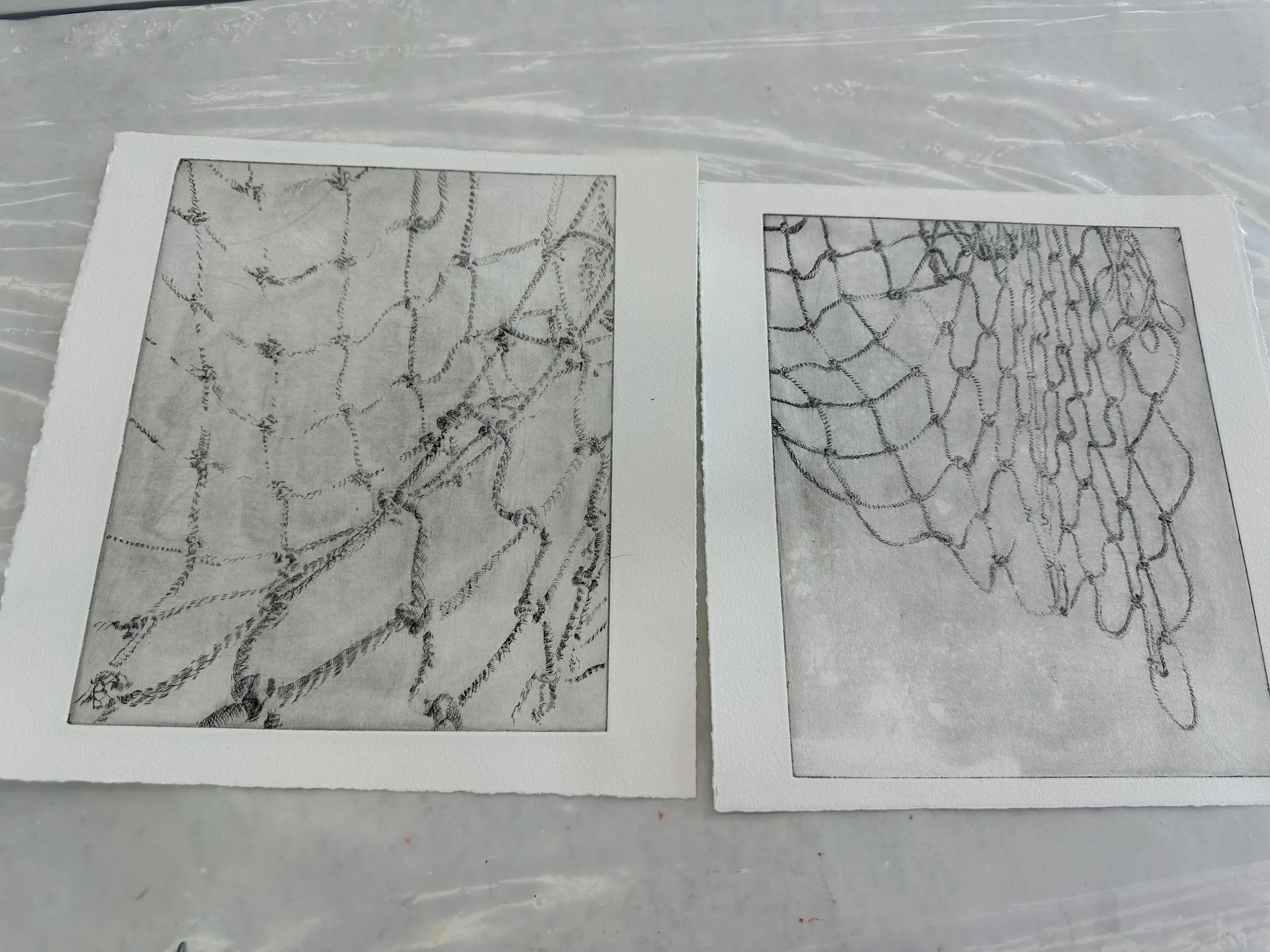 "Nets Series: Tense (Left) and At Rest (Right)" Drawing by Paloma Barhaugh-Bordas, Assisted etching and printing by Ella Cote, 2024 on Awagami Kozo Paper