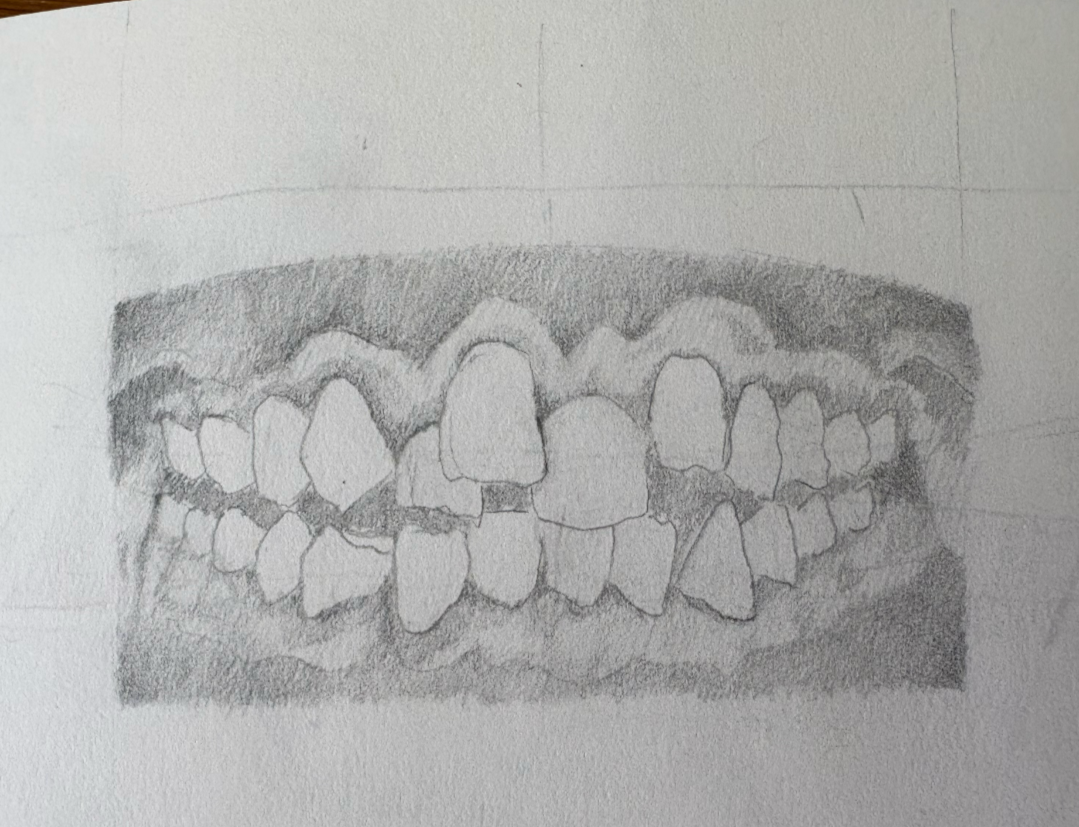 "Teeth Study" Pencil on Paper 2026