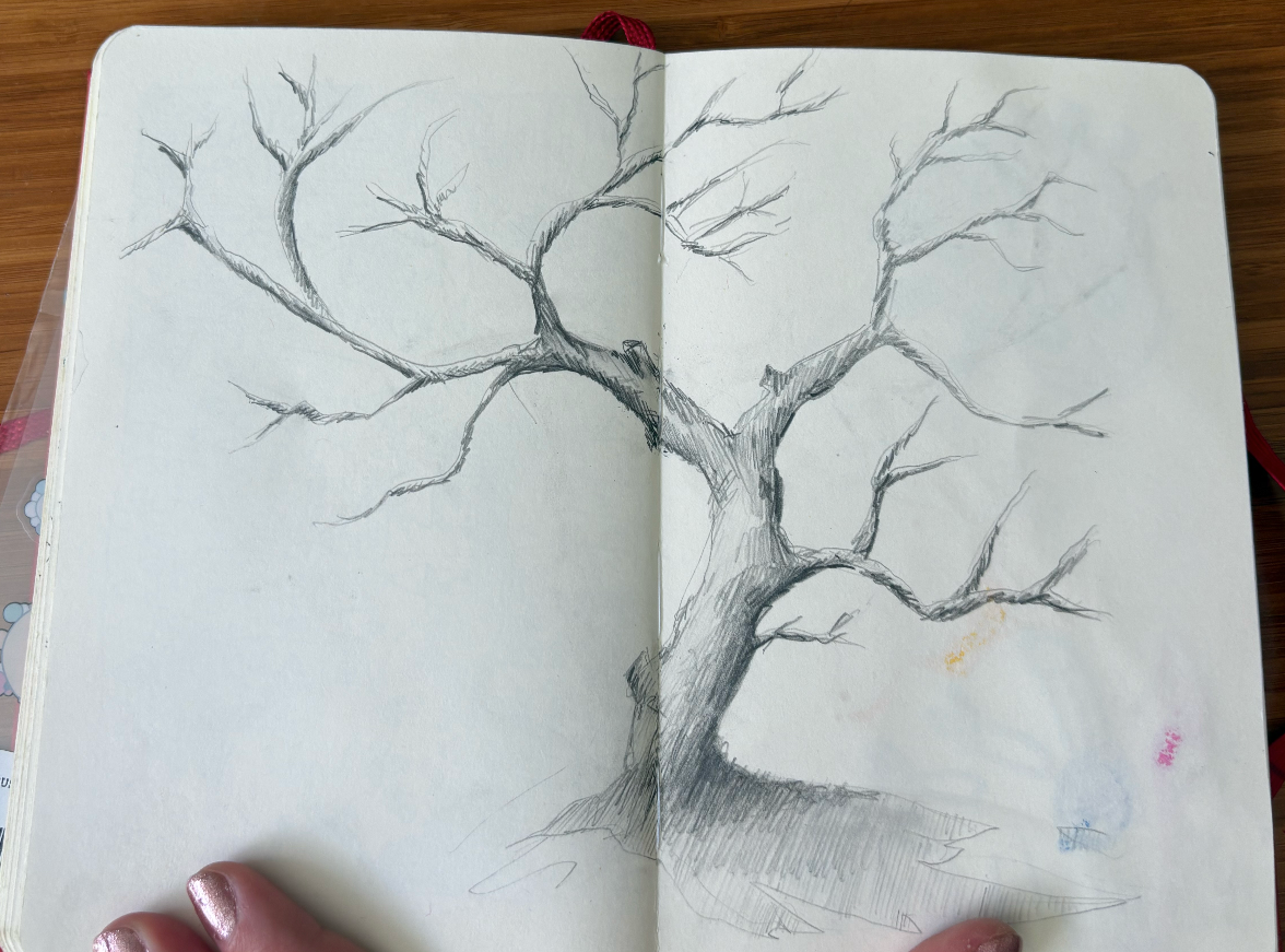 "Untitled" Pencil on Paper 2026