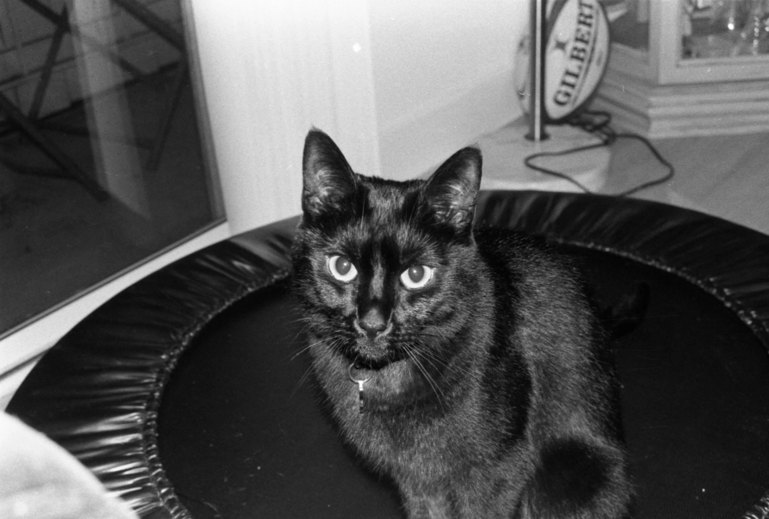 "Untitled" 35 mm on Ilford HP5 Plus ISO 400