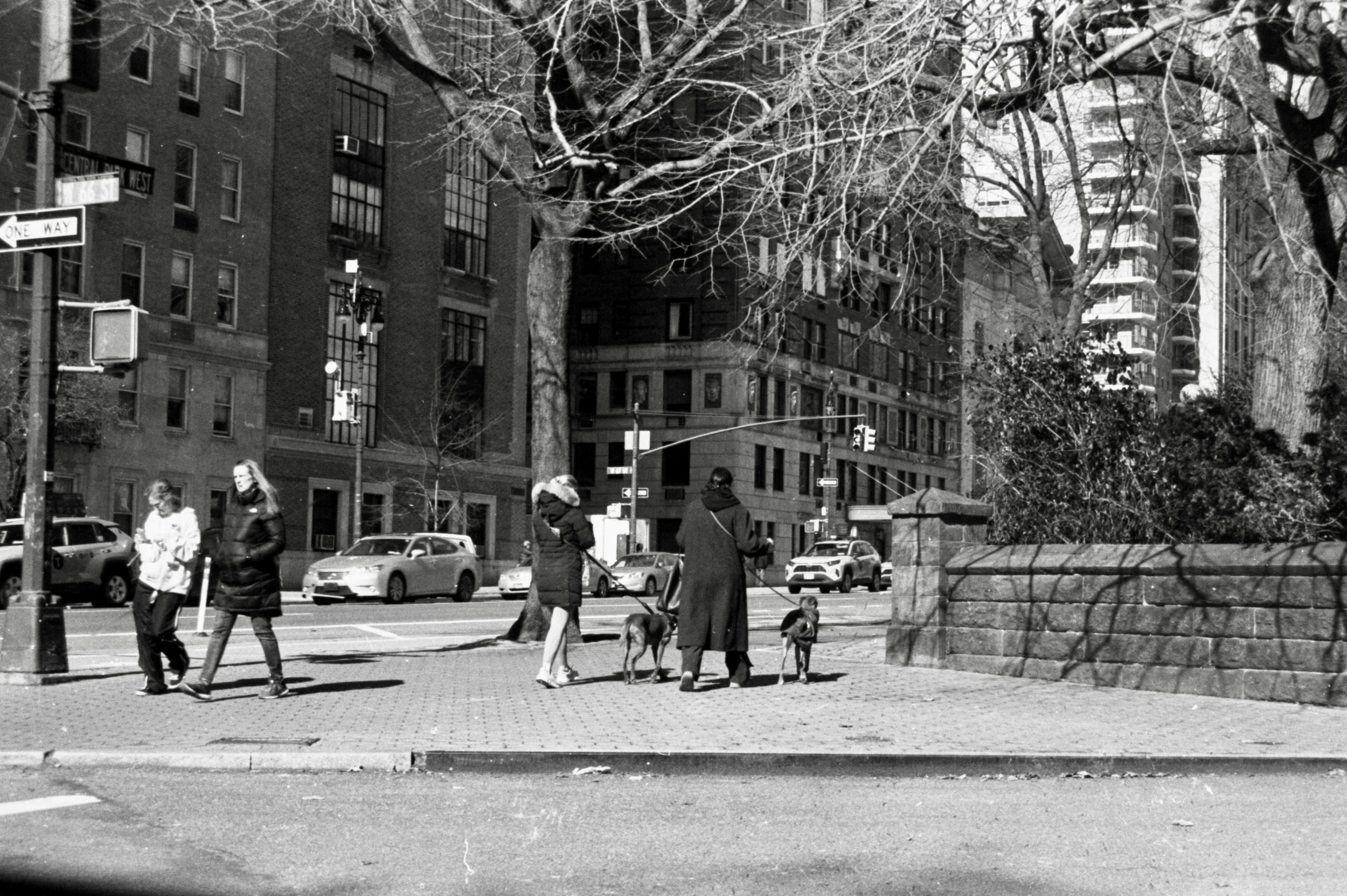 "Untitled" 35 mm on Ilford HP5 Plus ISO 400