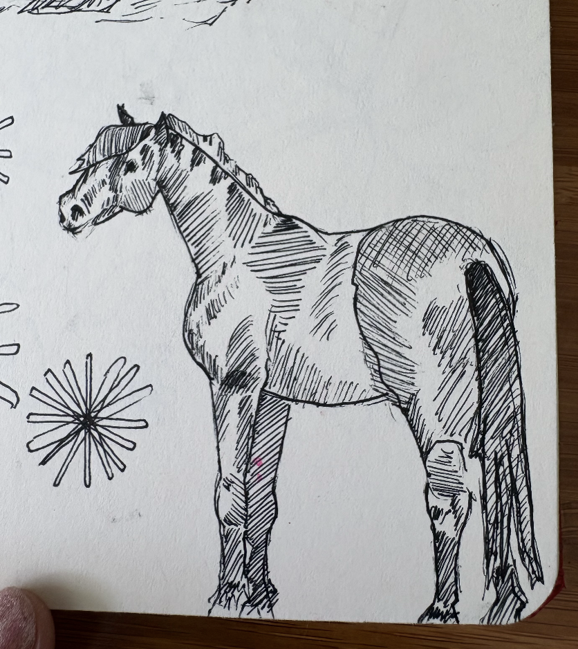 "Untitled" Pen on Paper 2025