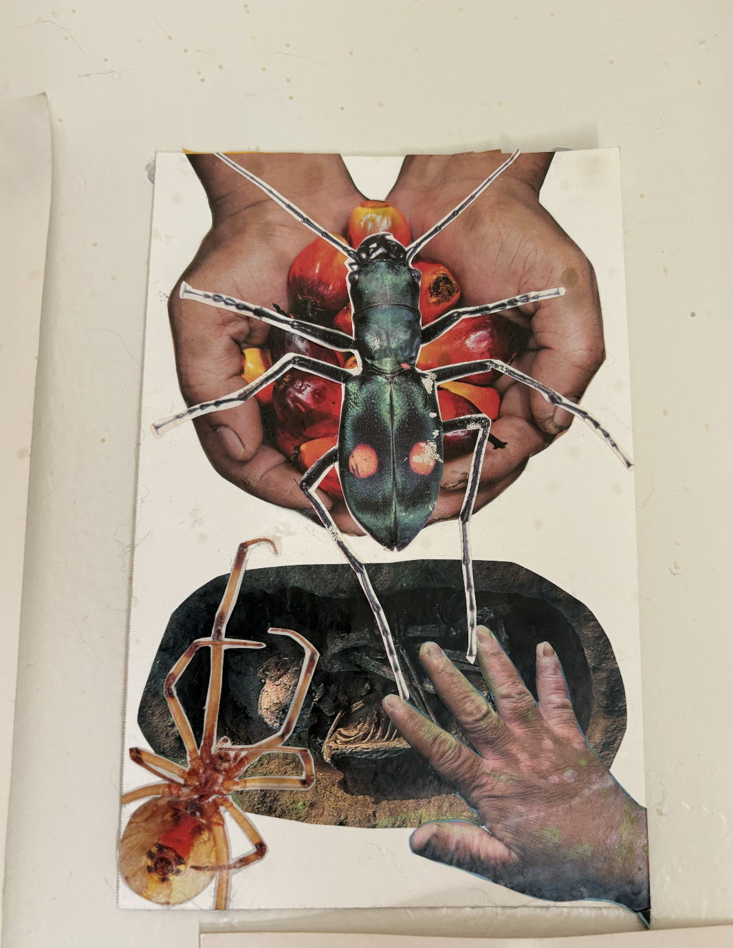 "Untitled" Collage on Paper 2026