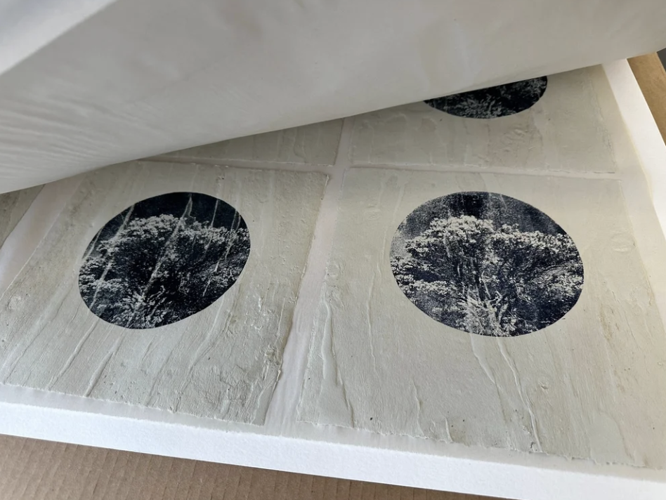 "Manzanita Moon" Embossed tree bark onto paper with an Aquatint Print, 2024 on
Awagami Kozo Paper