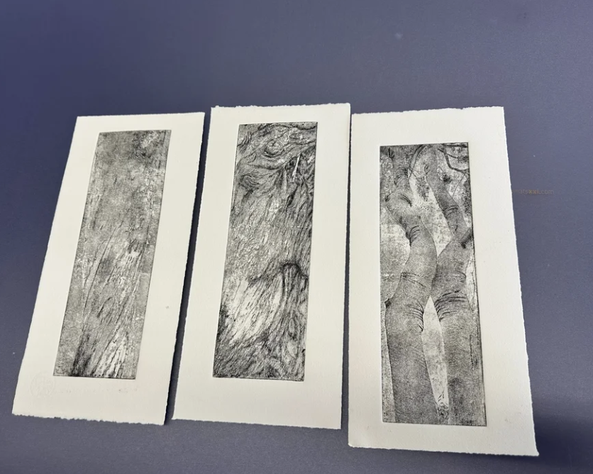 "Untitled Tree Series" Original Drawings by Paloma Barhaugh-Bordas, assisted etching and printing by Ella Cote, 2024 on Awagami Kozo Paper