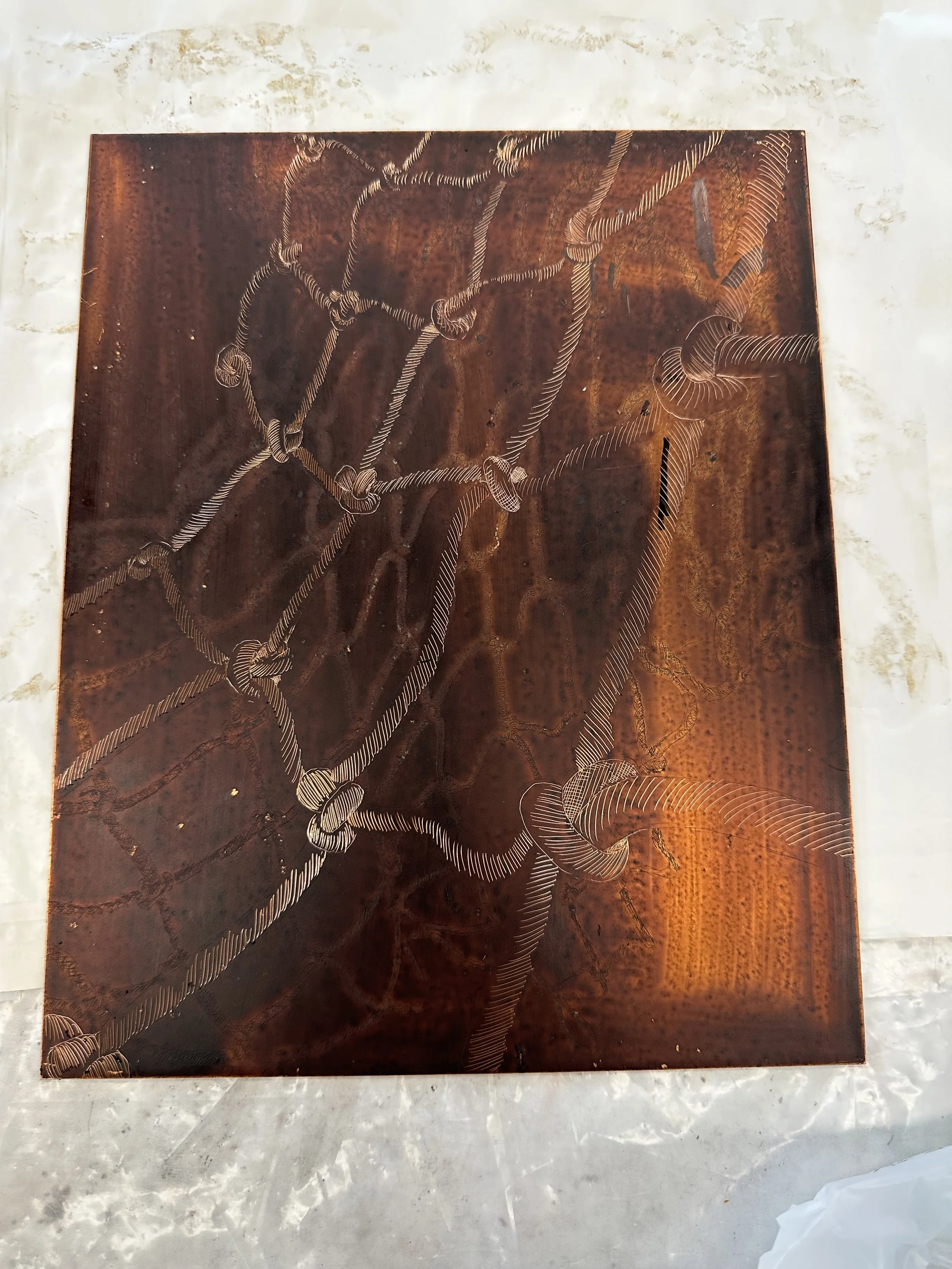 "Nets Series" Drawing by Paloma Barhaugh-Bordas, Assisted etching and printing by Ella Cote, 2024 on copper plate