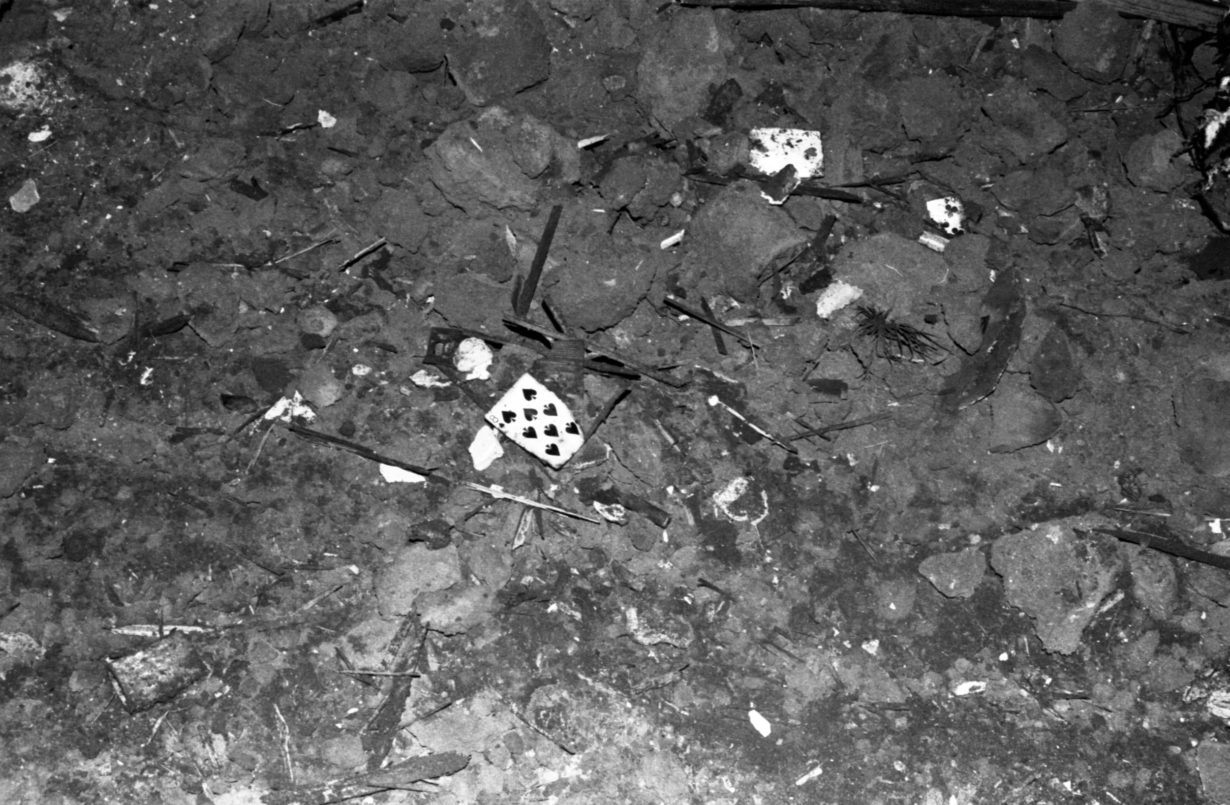 "Untitled" 35 mm on Ilford HP5 Plus ISO 400