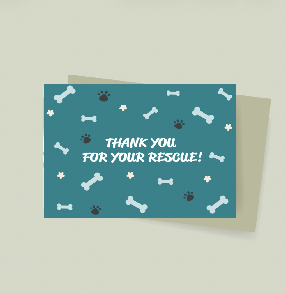 Screenshot 2026-02-18 at 11.09.24 AM.png