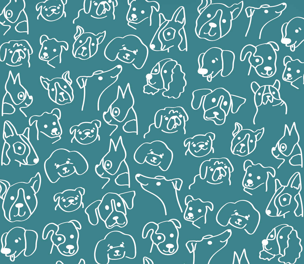 Screenshot 2026-02-18 at 11.08.40 AM.png