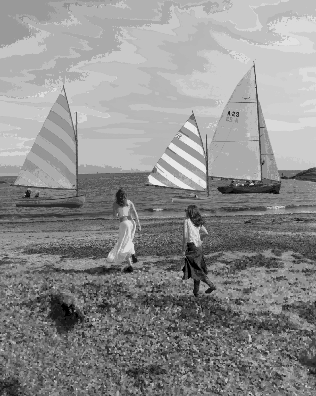 Photoshop Ai Collages