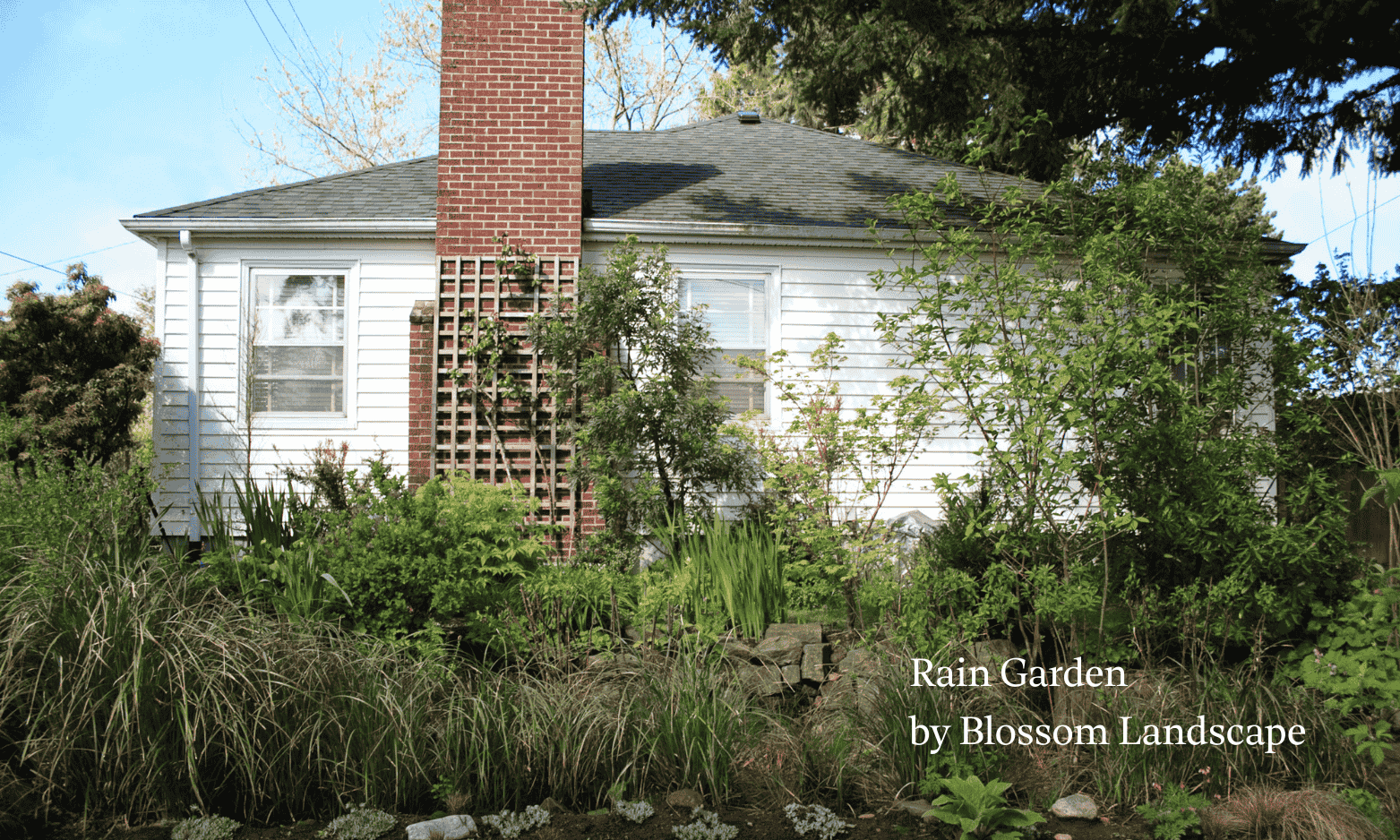 Stormwater Management: A Foundational Principle of Ecological Landscape Design 