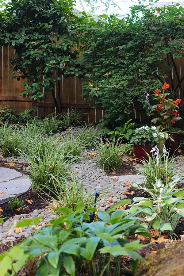 Dry creek bed with river rock amongst plantings.