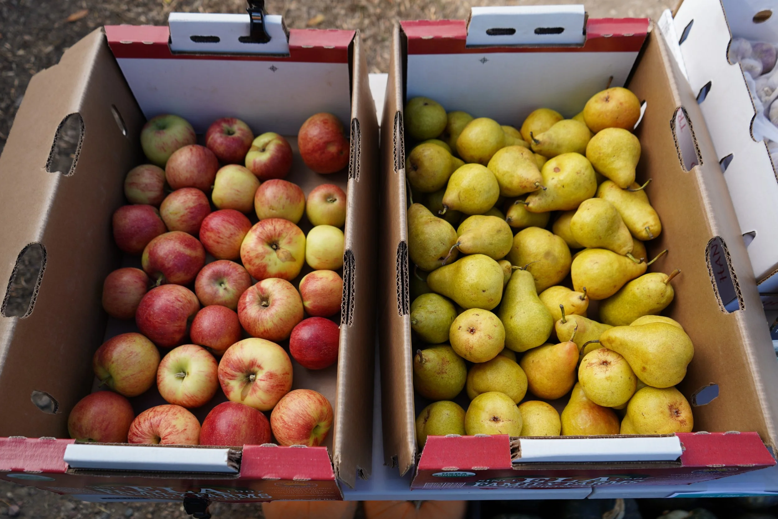 Oak Brook I Senior Center