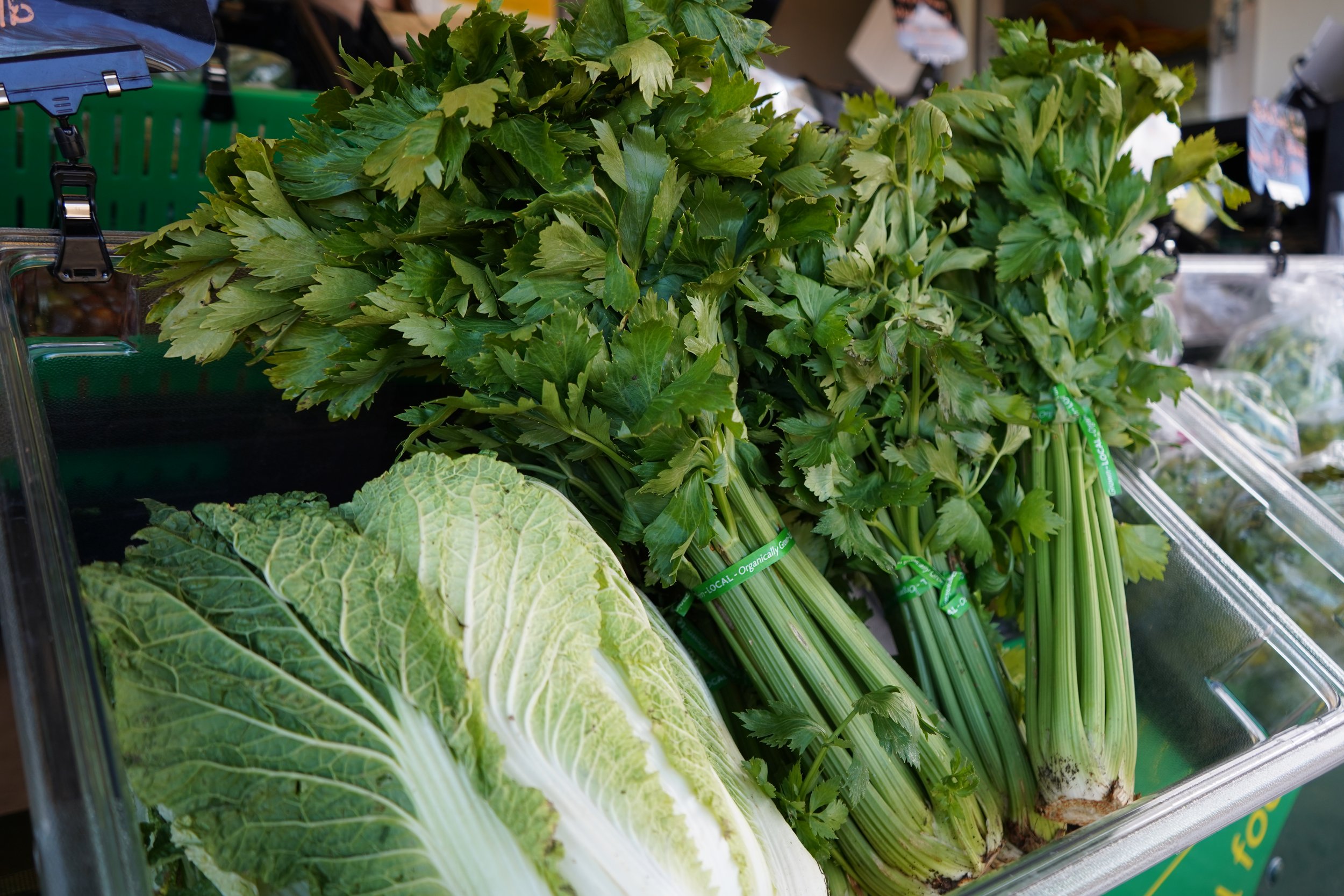 First Friday Art Walk 