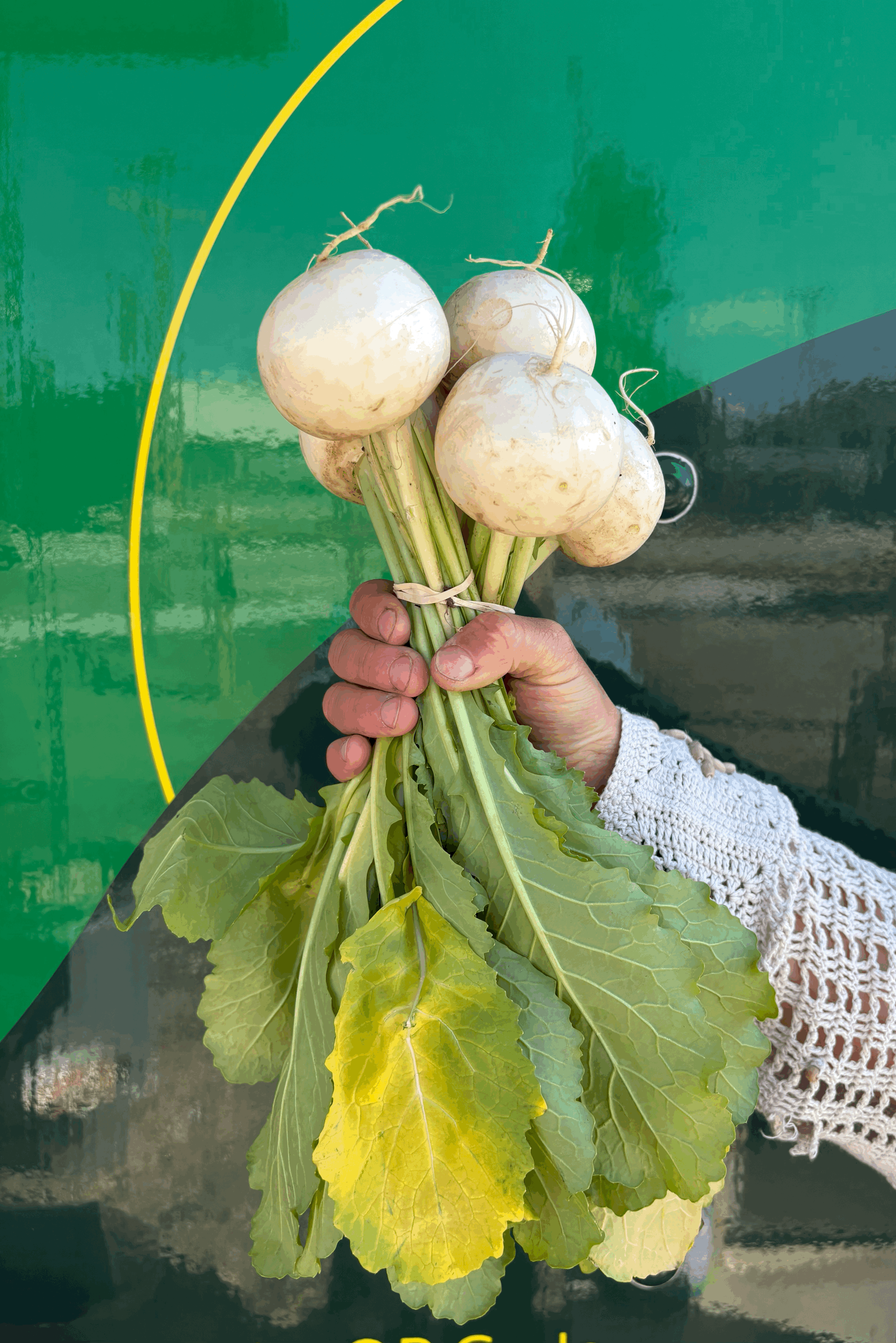 Wellington Farmers Market