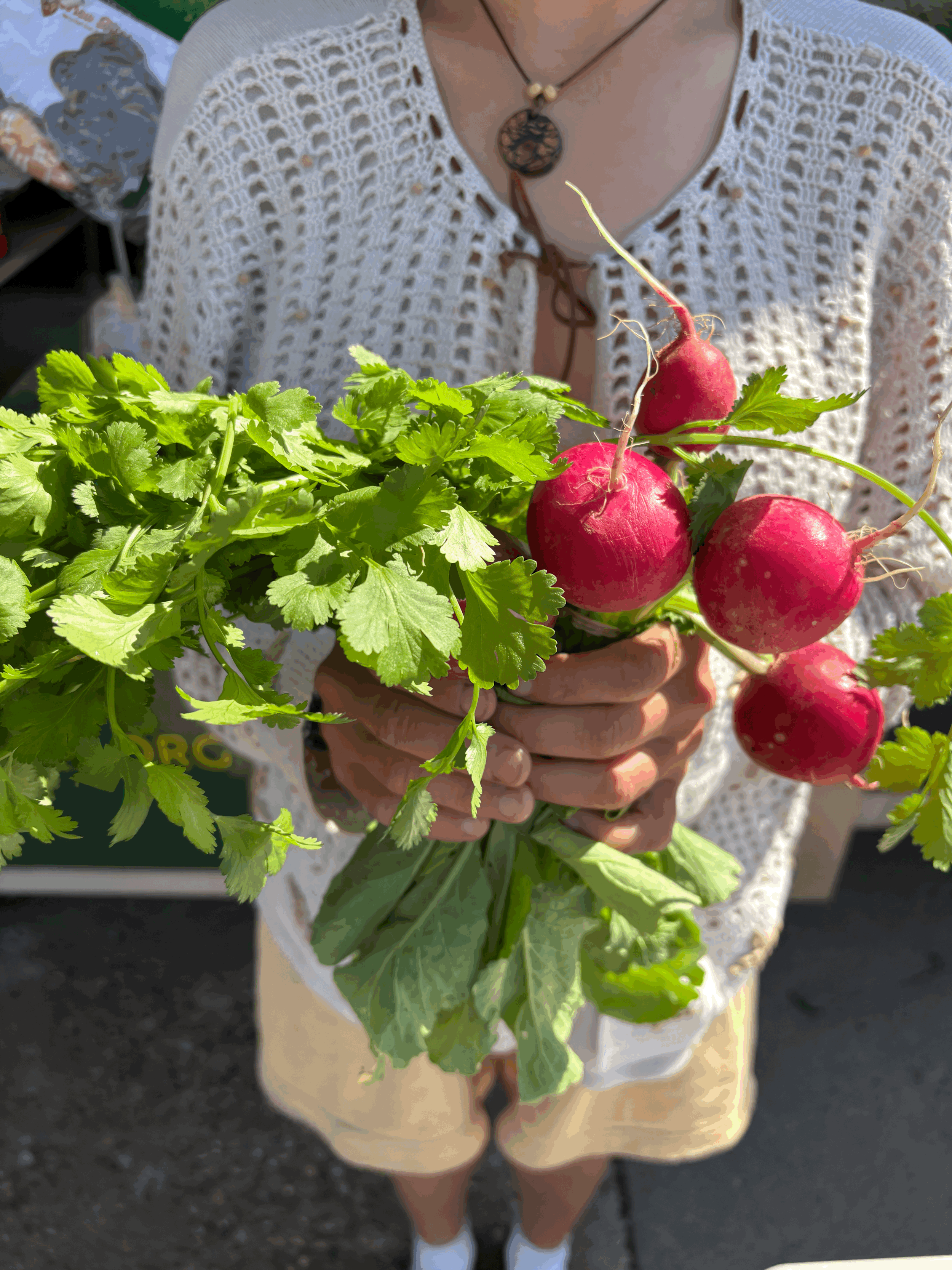 Poudre Park: Riverside Market