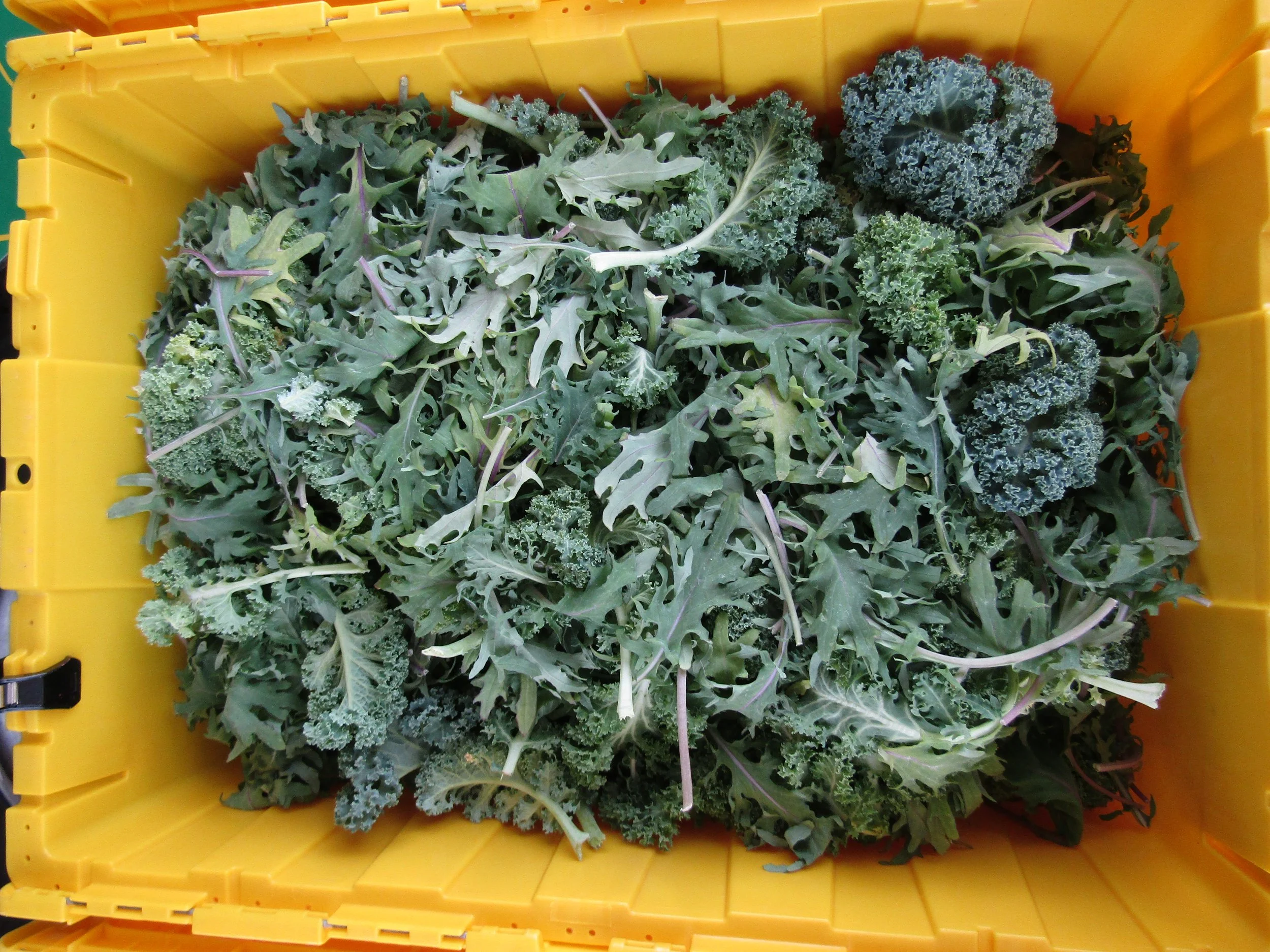 Fort Collins Food Coop