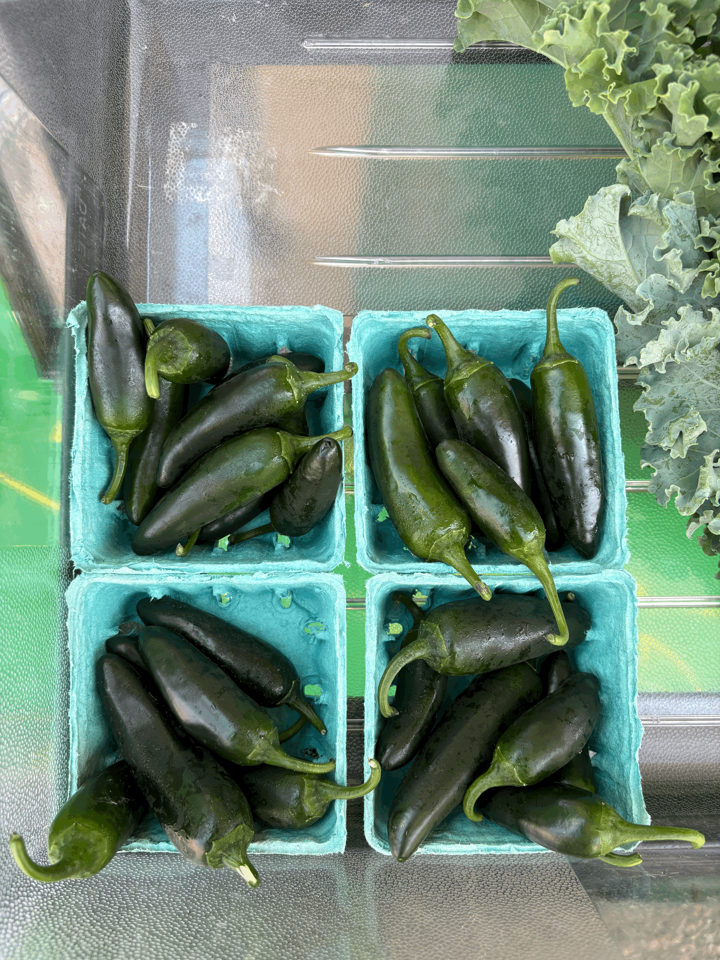 Timnath Farmers Market