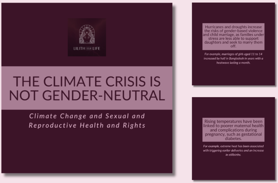 Screenshot 2026-04-13 at 17.25.57.png