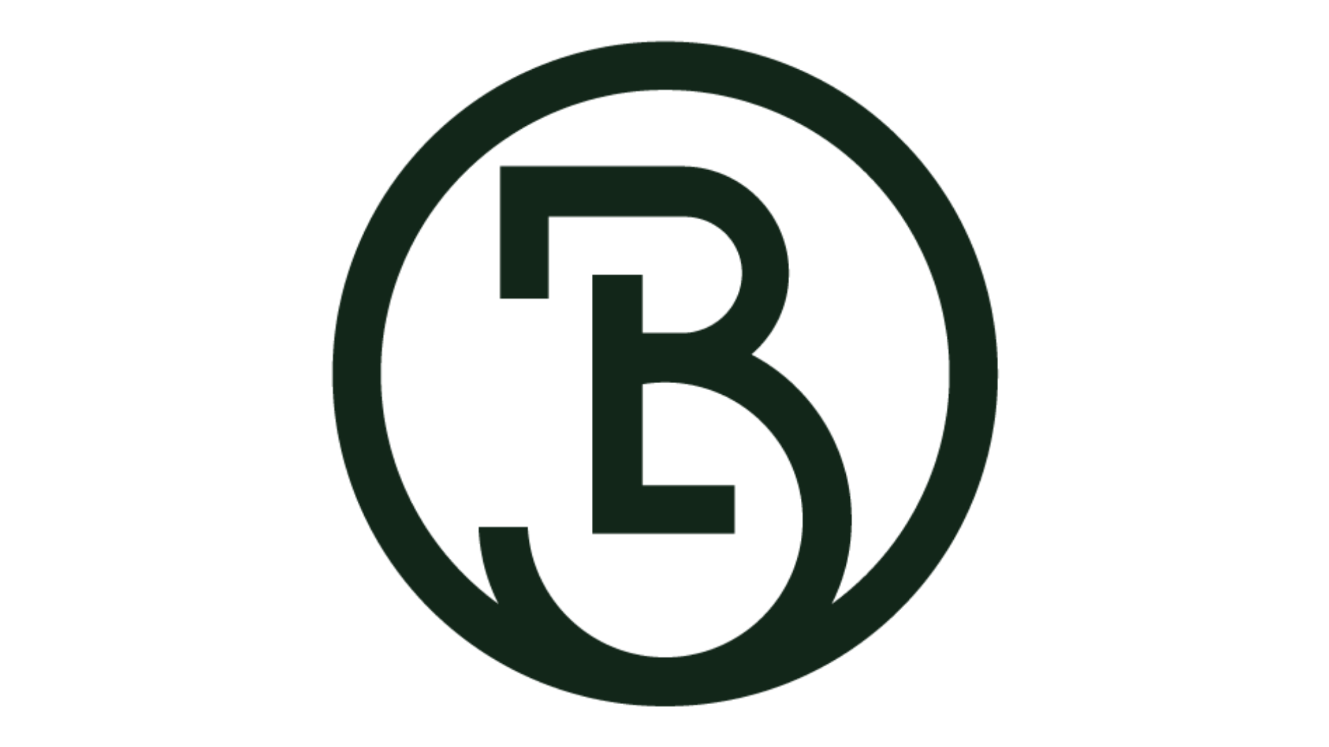 B.png