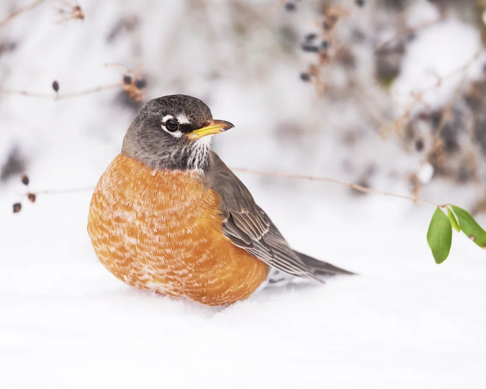_DSC8889 1-topaz-denoise-denoise.jpg