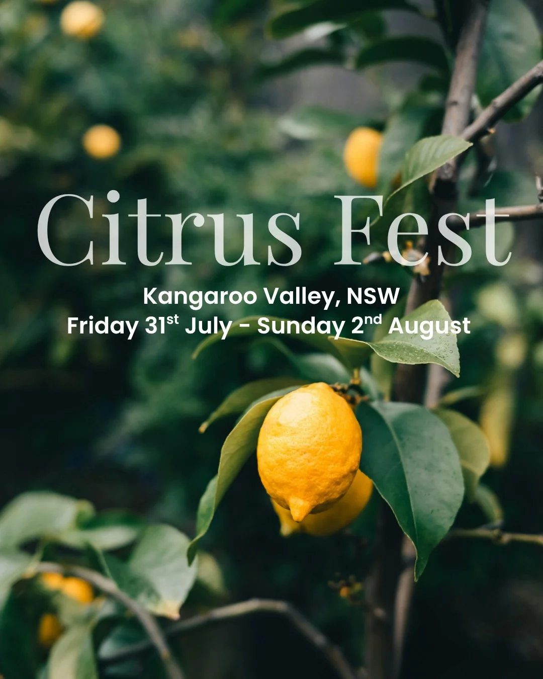 No lemon left behind.

That's the idea behind Kangaroo Valley's inaugural Citrus Fest this weekend &mdash; three days dedicated to the citrus trees that hang heavy every winter across local backyards and orchards, so much of it going unpicked. Starte