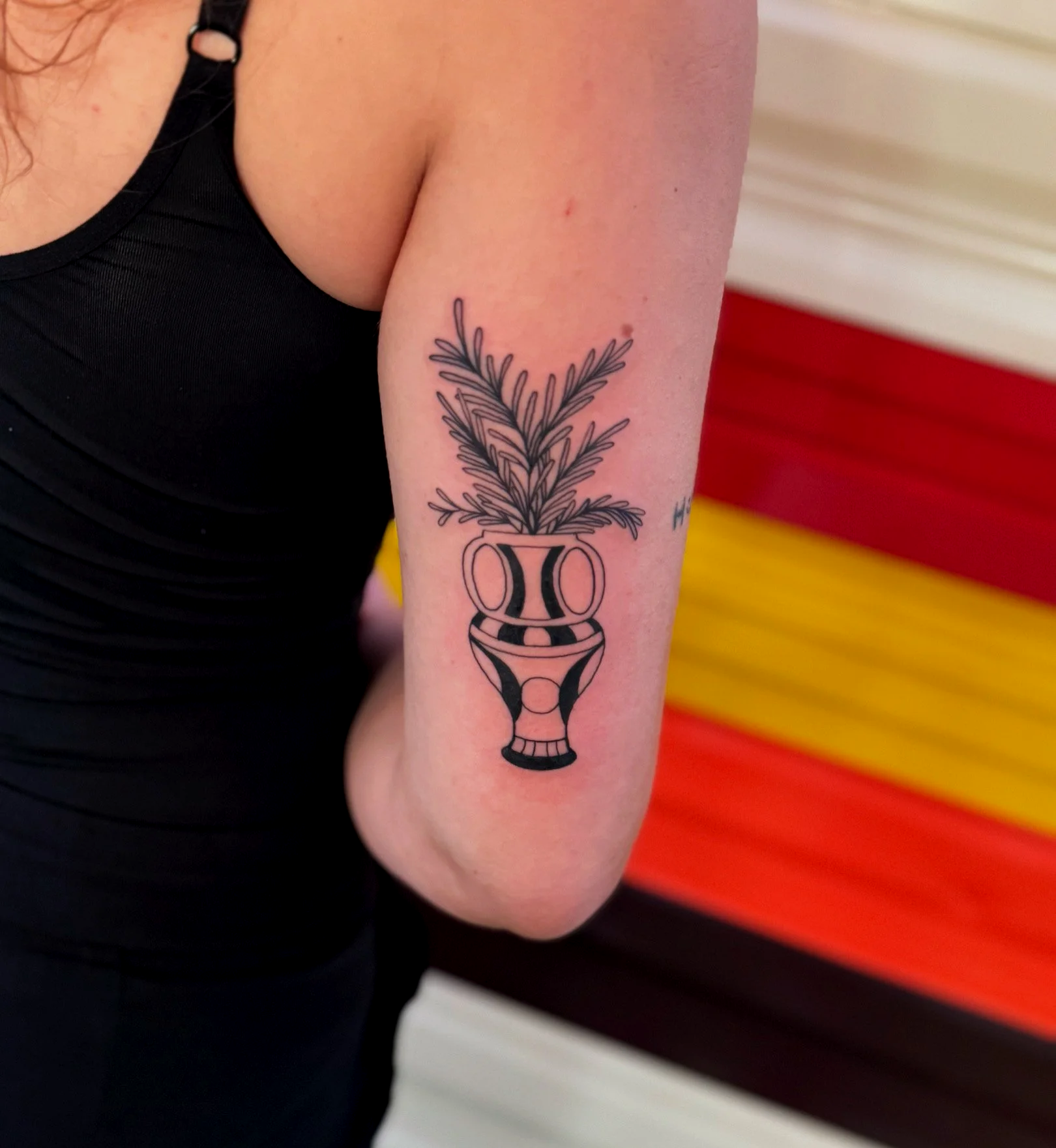 Tatouage d'un vase avec des branches de pin sur le bras d'une personne