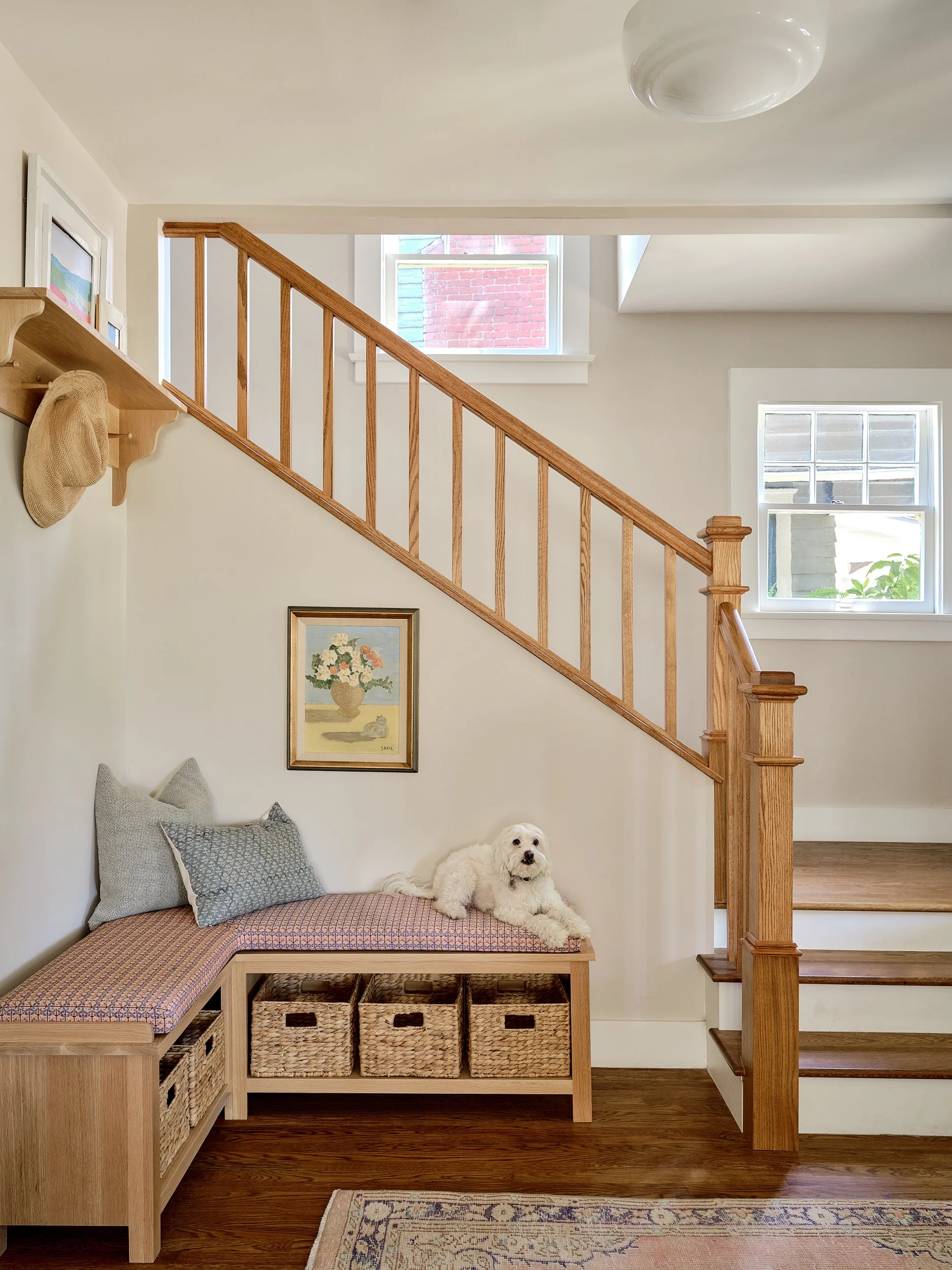 20260731_Lou_EchoPark _Entry_V2_Dog 1.jpg