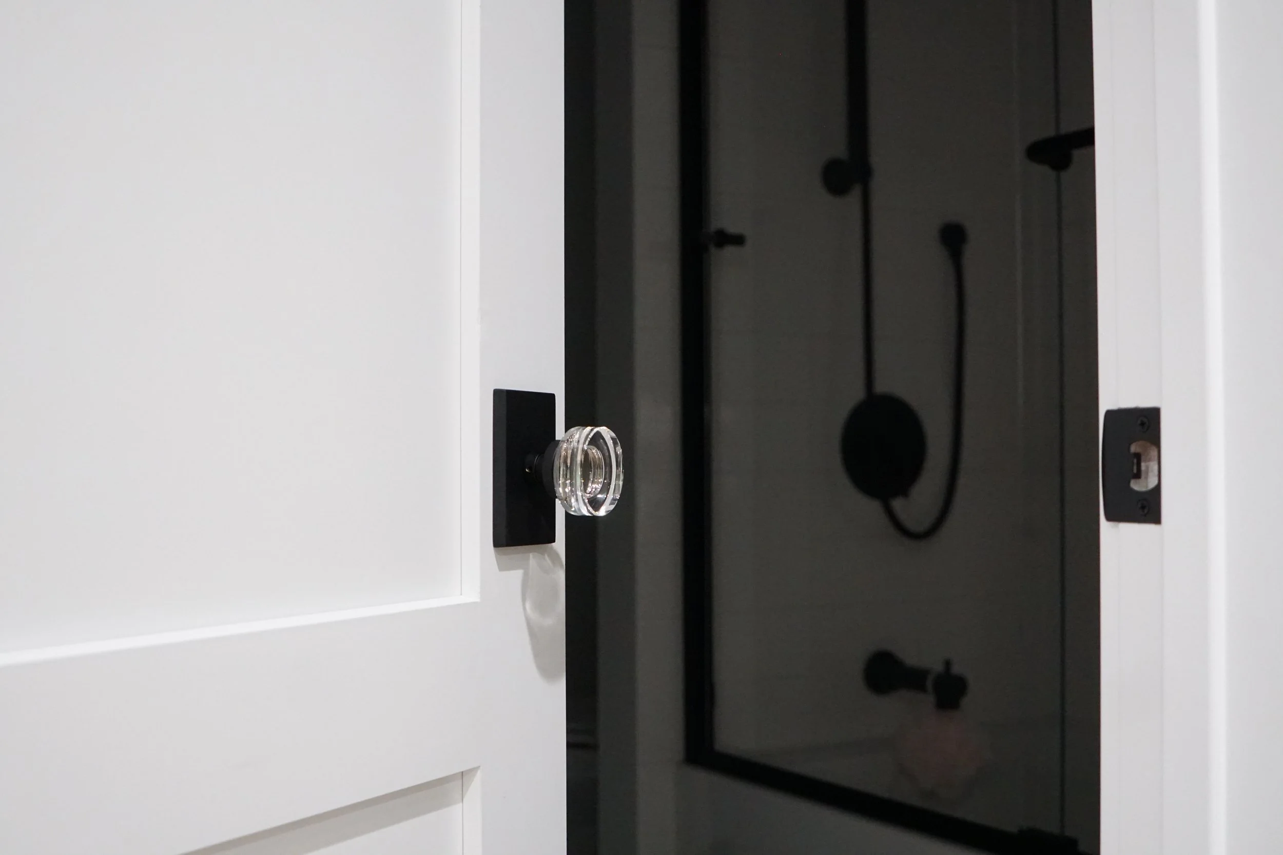 WEBSITE WI ELSA BATH DOOR.JPG