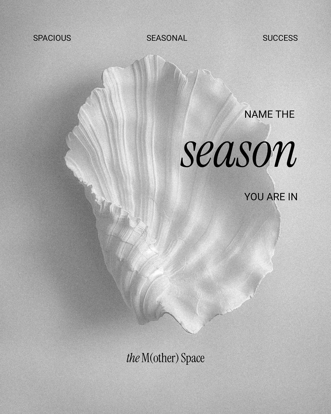 On the power of naming the season we’re in ~ 
Sometimes the most powerful thing we can do is pause long enough to name the season we’re in. 
Because each season of motherhood and ambition asks something different of us. Some seasons fee