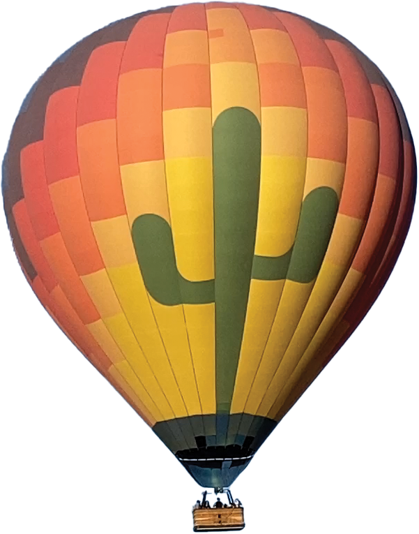 hot air balloon in desert colors with a large green cactus on it