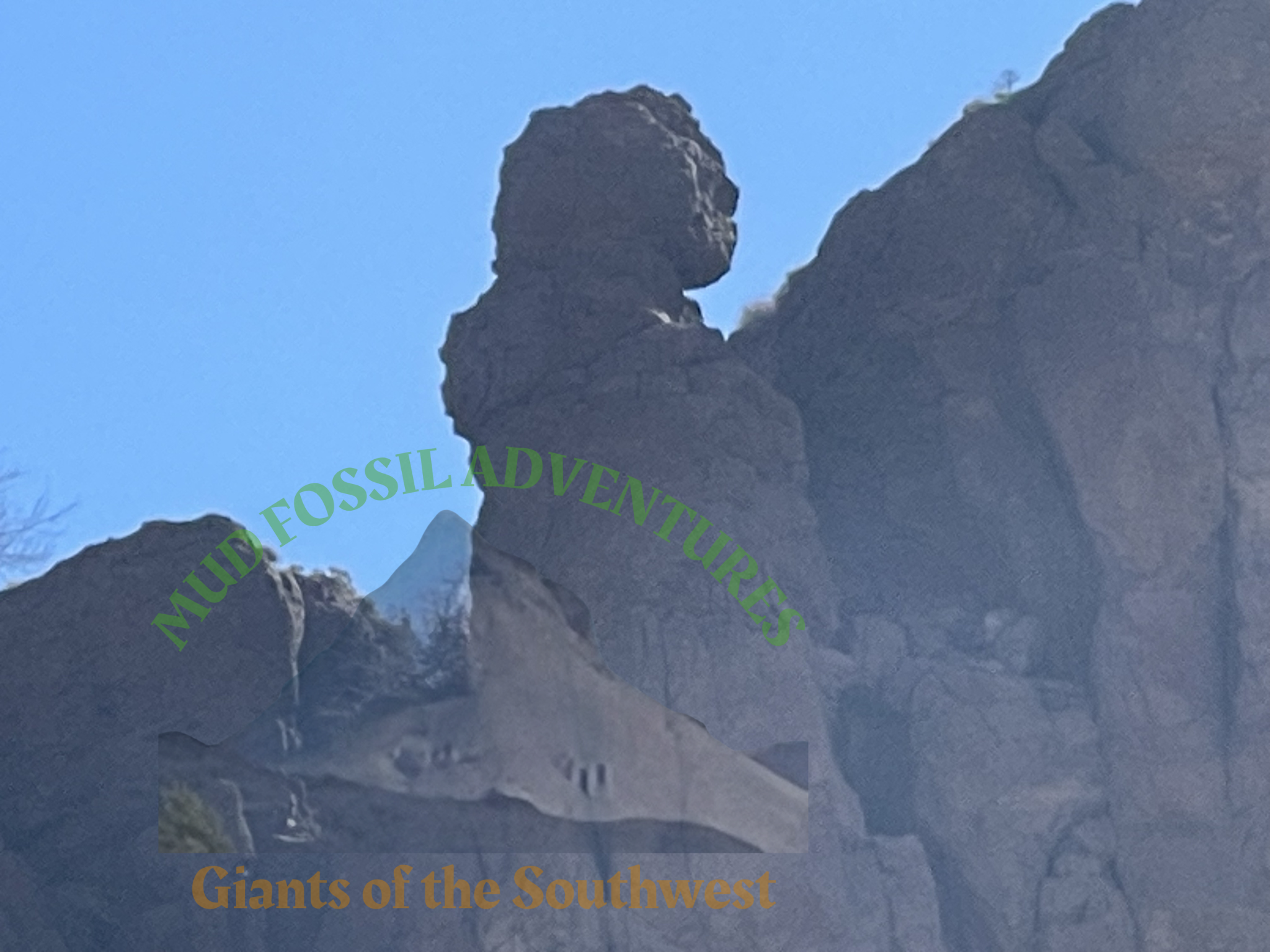 Good morning Sunshine!