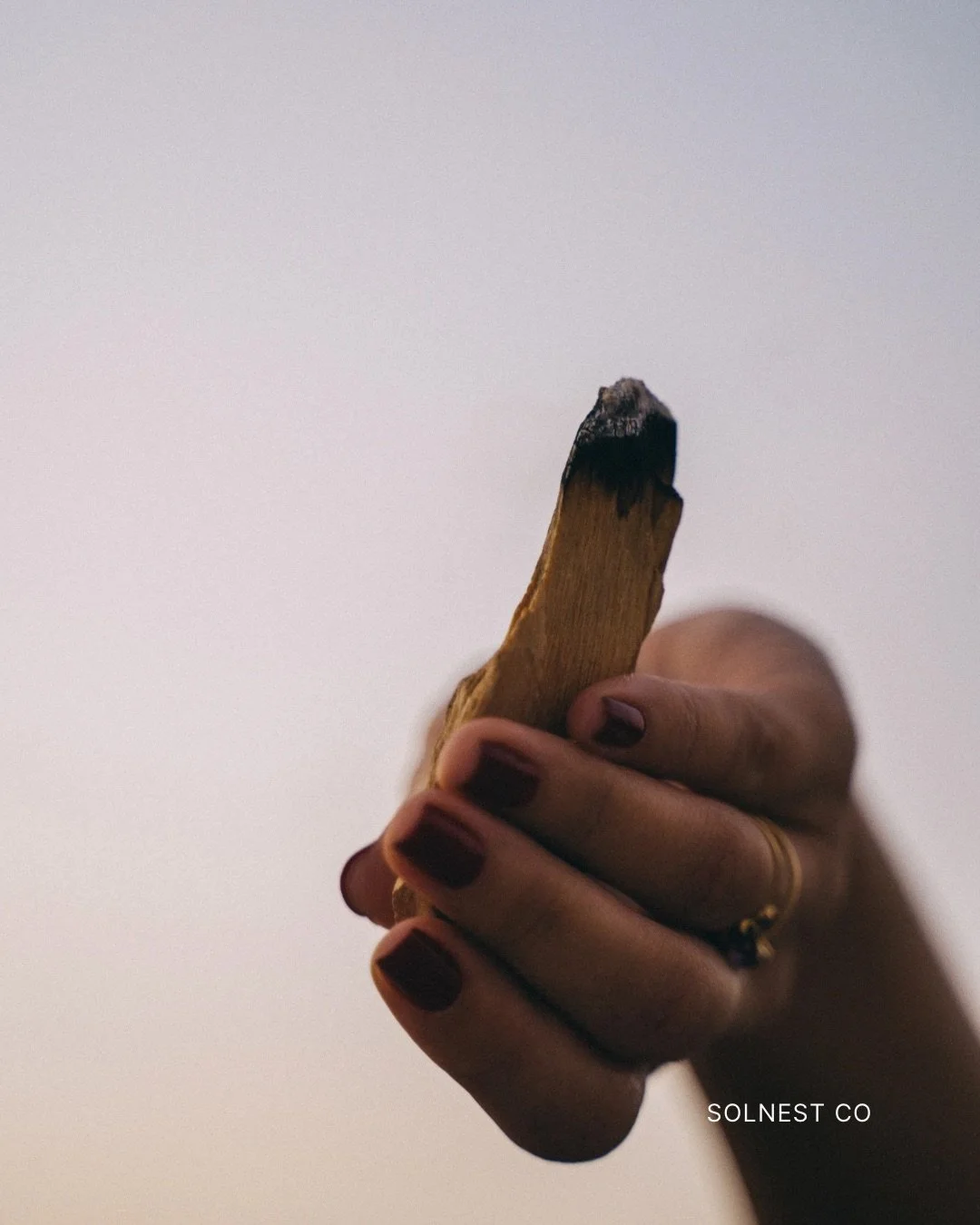 PALO SANTO | Sacred Cleansing Wood